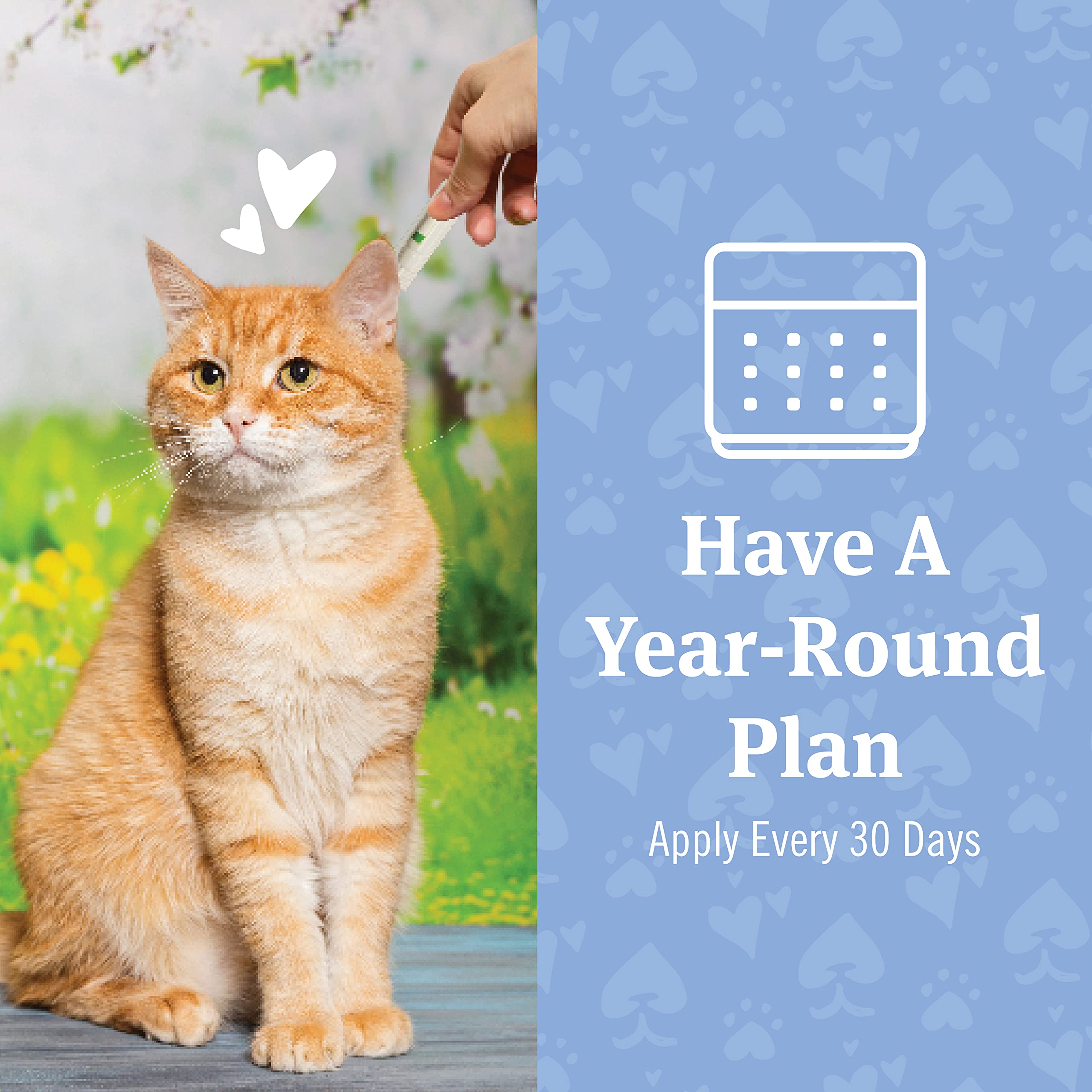 Petarmor Plus Flea & Tick Prevention For Cats Over 1.5 Lbs, Waterproof Topical, Fast Acting & Long Lasting, Compare To Leading B