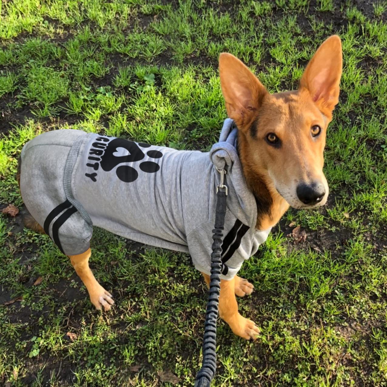 Otunrues Dog Hoodies, Pet Dog Clothes Pullover 4 Legs Jumpsuit Sweatshirt Security Patterns Outfit Doggie Winter Coat Cotton Puppy Hoodied For Small Medium Large Dogs Cats(Gray,M)