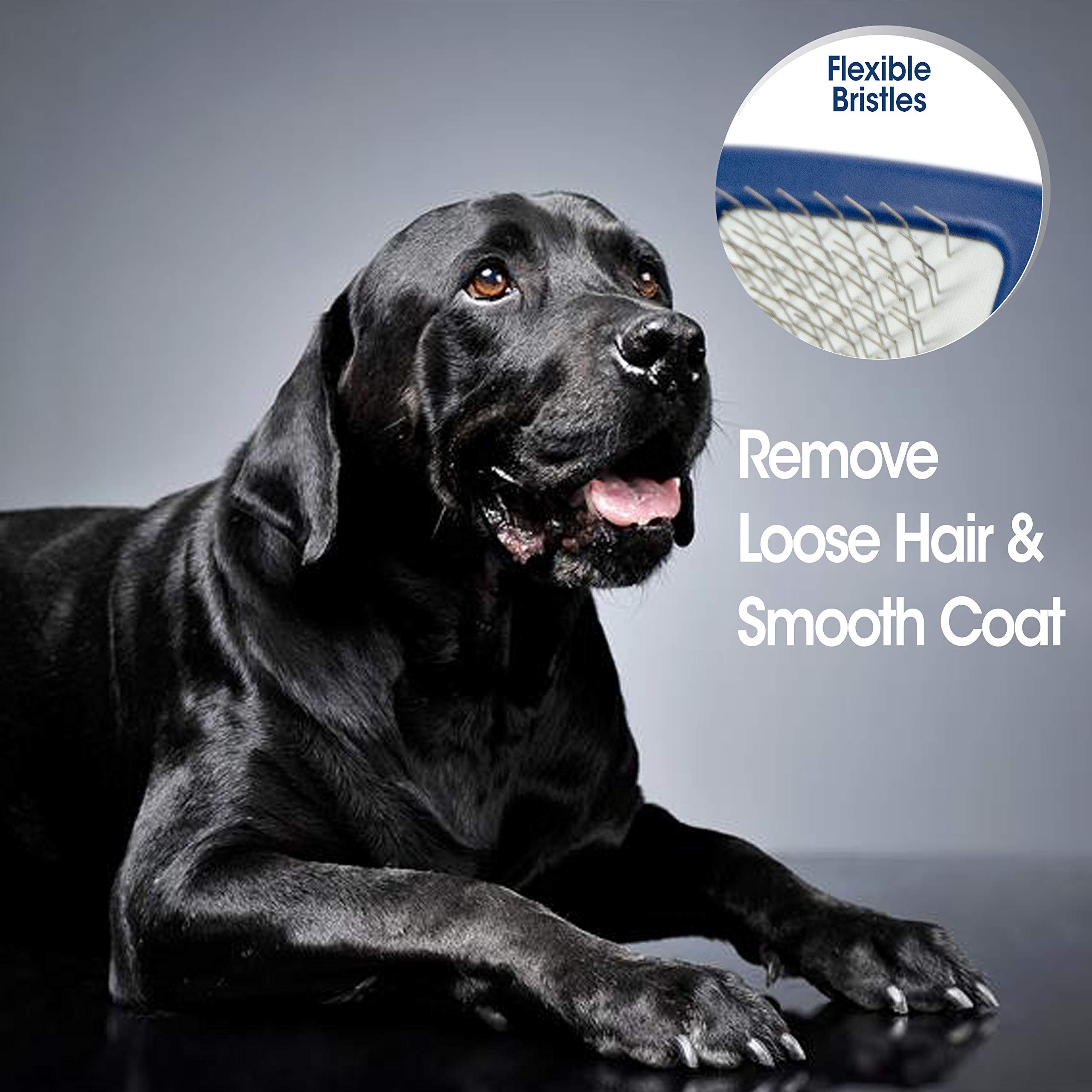 Four Paws Magic Coat Professional Series Grooming Brushes For Dogs & Cats L Trimmers, Nail Clippers, & Brushes Dog & Cat