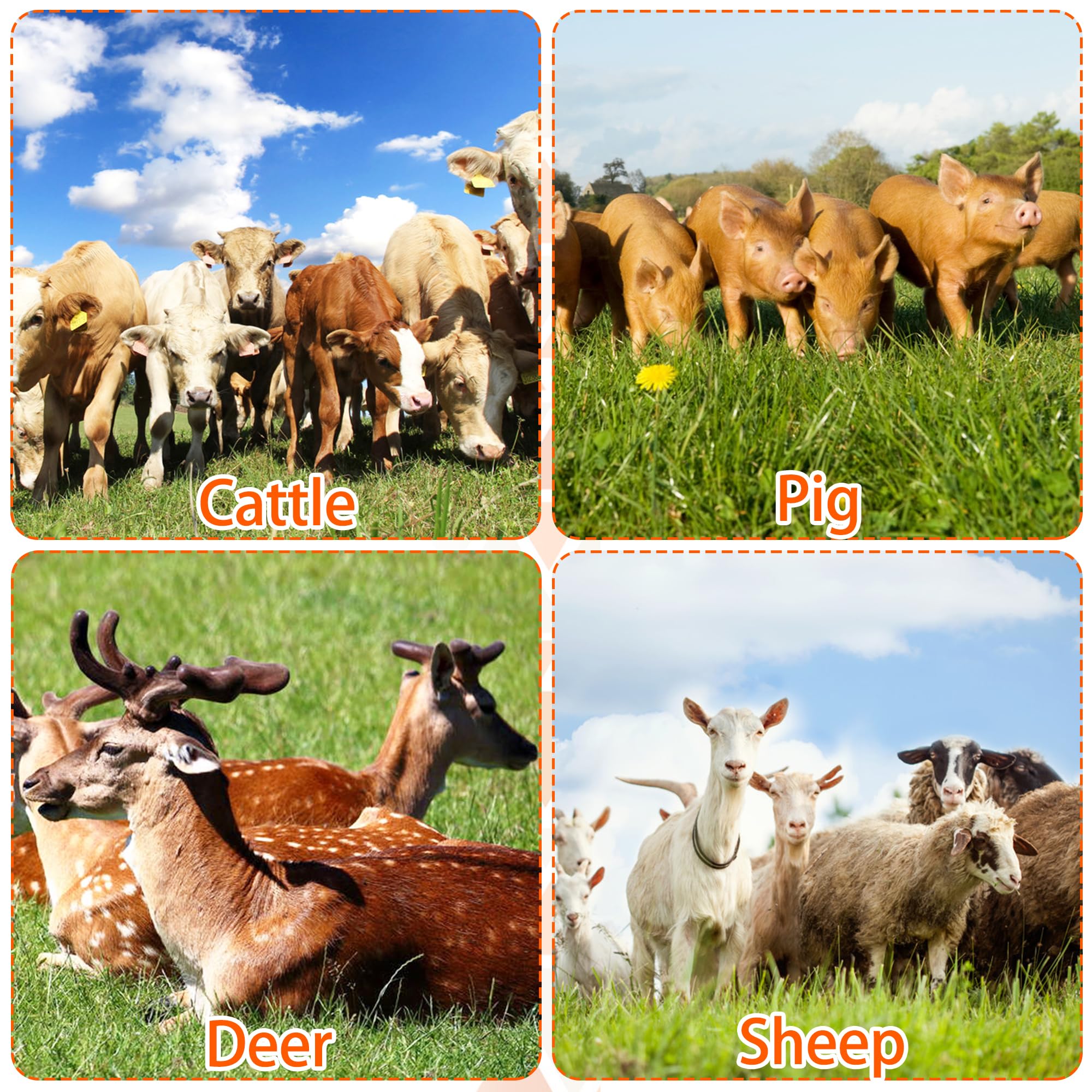 Kunbeien 4Pcs Livestock Scratch Brushes, Horse Scratcher Full Massage Brush Kit For Relieving Itching, Yellow