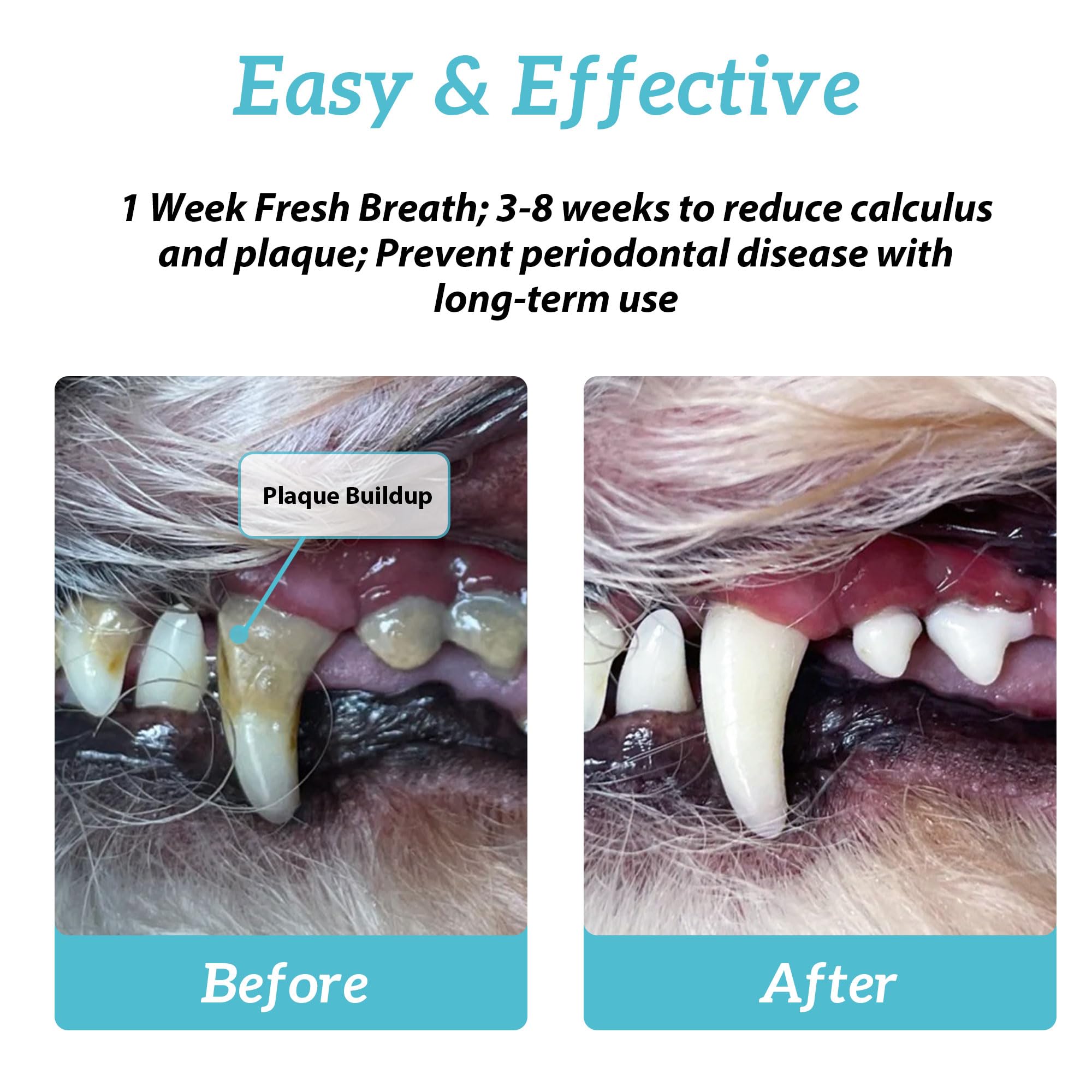 Natural Dog Dental Powder - Teeth Cleaning Powder - Removes Plaque and Tartar - Breath Freshener - Contains Probiotics to Fight
