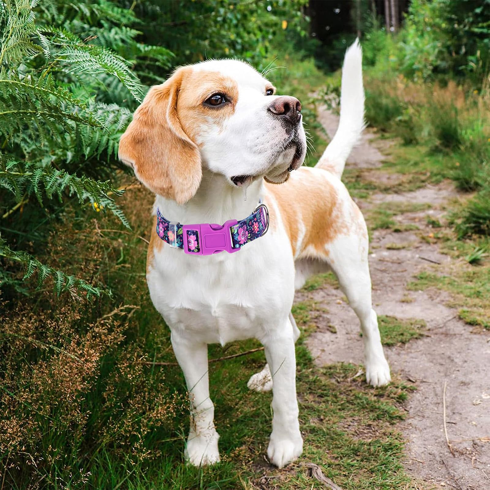 Dog Collars For Xl Dogs,Cute Girl Dog Collar With Boho Flowers Patterns,Adjustable Comfy Soft Durable Pet Collar For Small Mediu