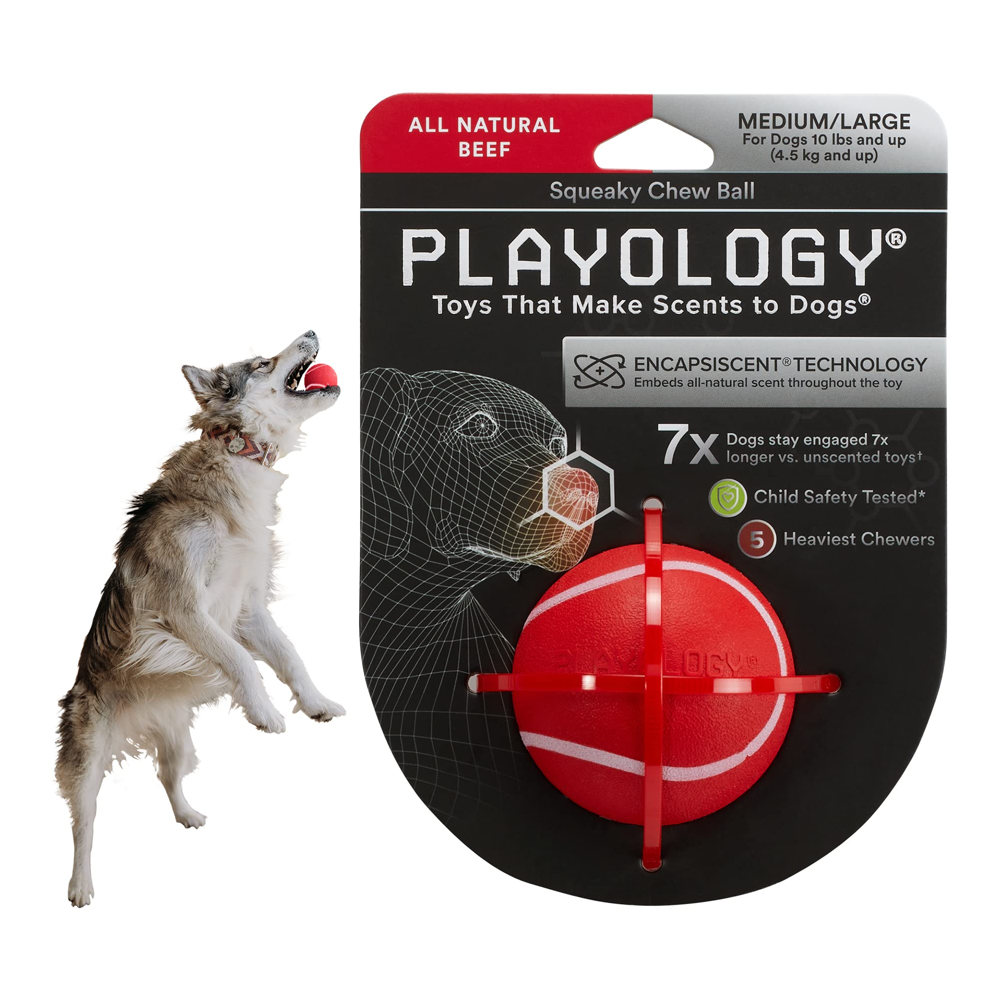 Playology Squeaky Chew Ball for Dogs | Engaging All-Natural Beef Scented Dog Toy for Medium Dogs up to 50lbs | Squeak, Fetch, an