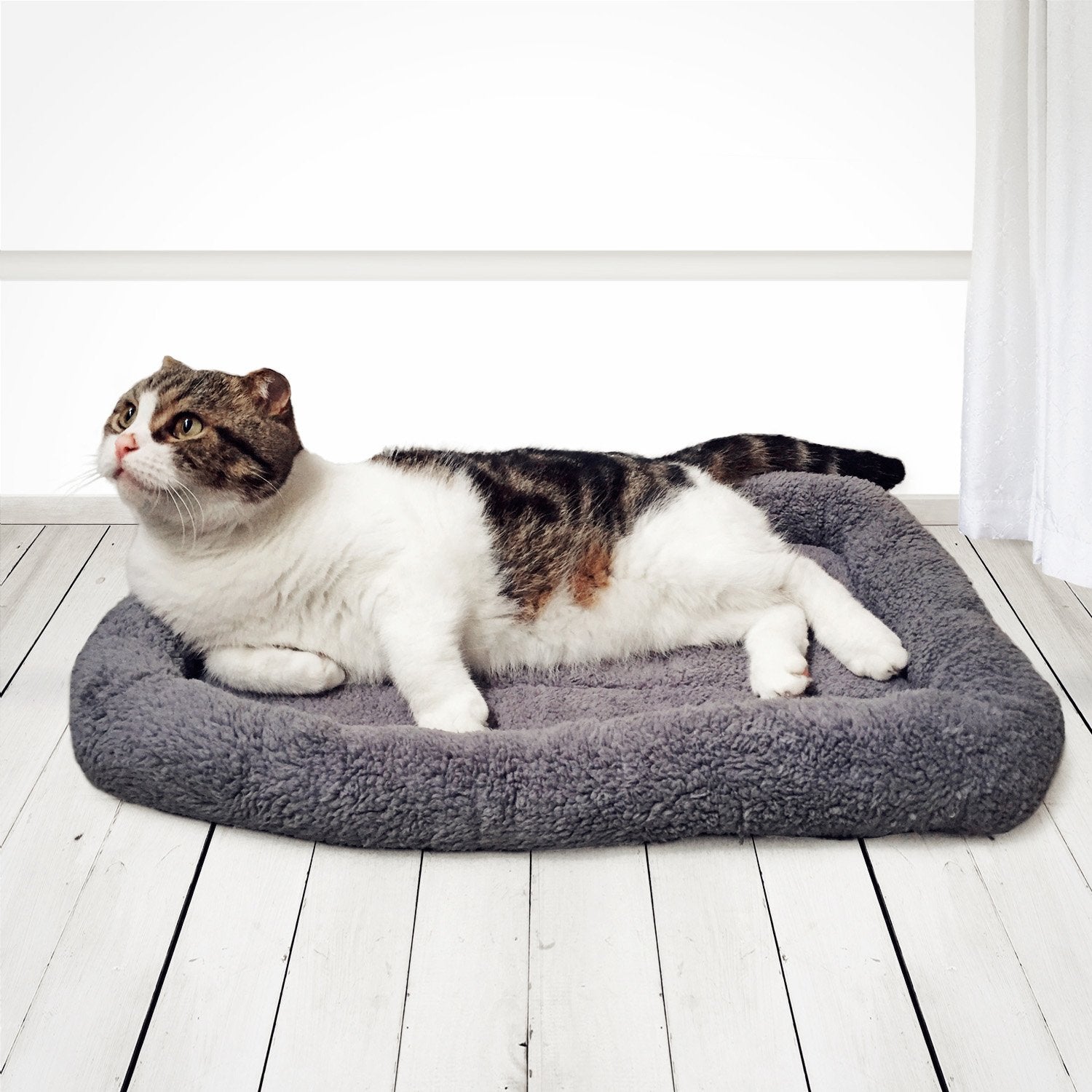 Enjoying Cat Mat Bed 16'' X 22'' Pet Bed With Pillow Around For Dogs Cats Curled Sleeping Beds For Carrier/Crate Small To Medium