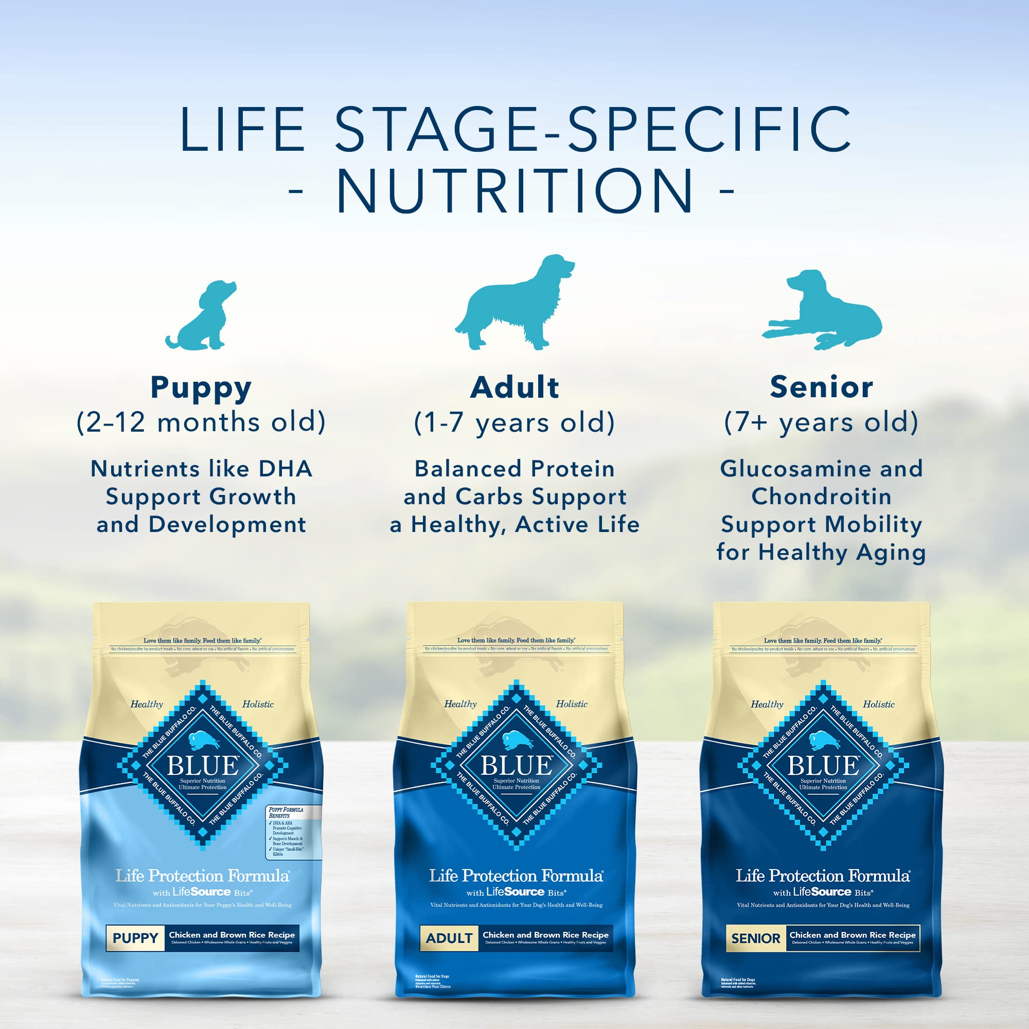 Blue Buffalo Life Protection Formula Puppy Dry Dog Food with DHA and ARA, Made with Natural Ingredients, Lamb & Oatmeal Recipe,