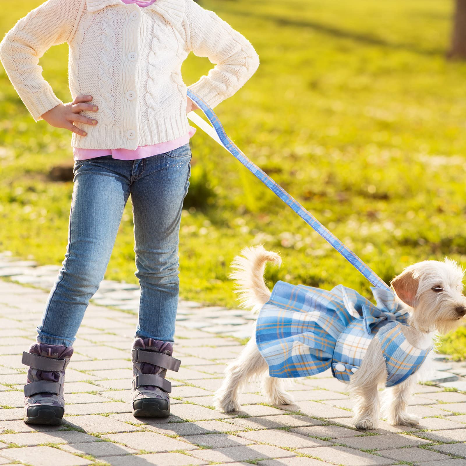 Potchen 4 Pcs Cute Plaid Dog Dress Set with Bow Tie Harness & Leash for Small Dogs, Puppy Clothes for Girls Summer Outfits(M,Dar