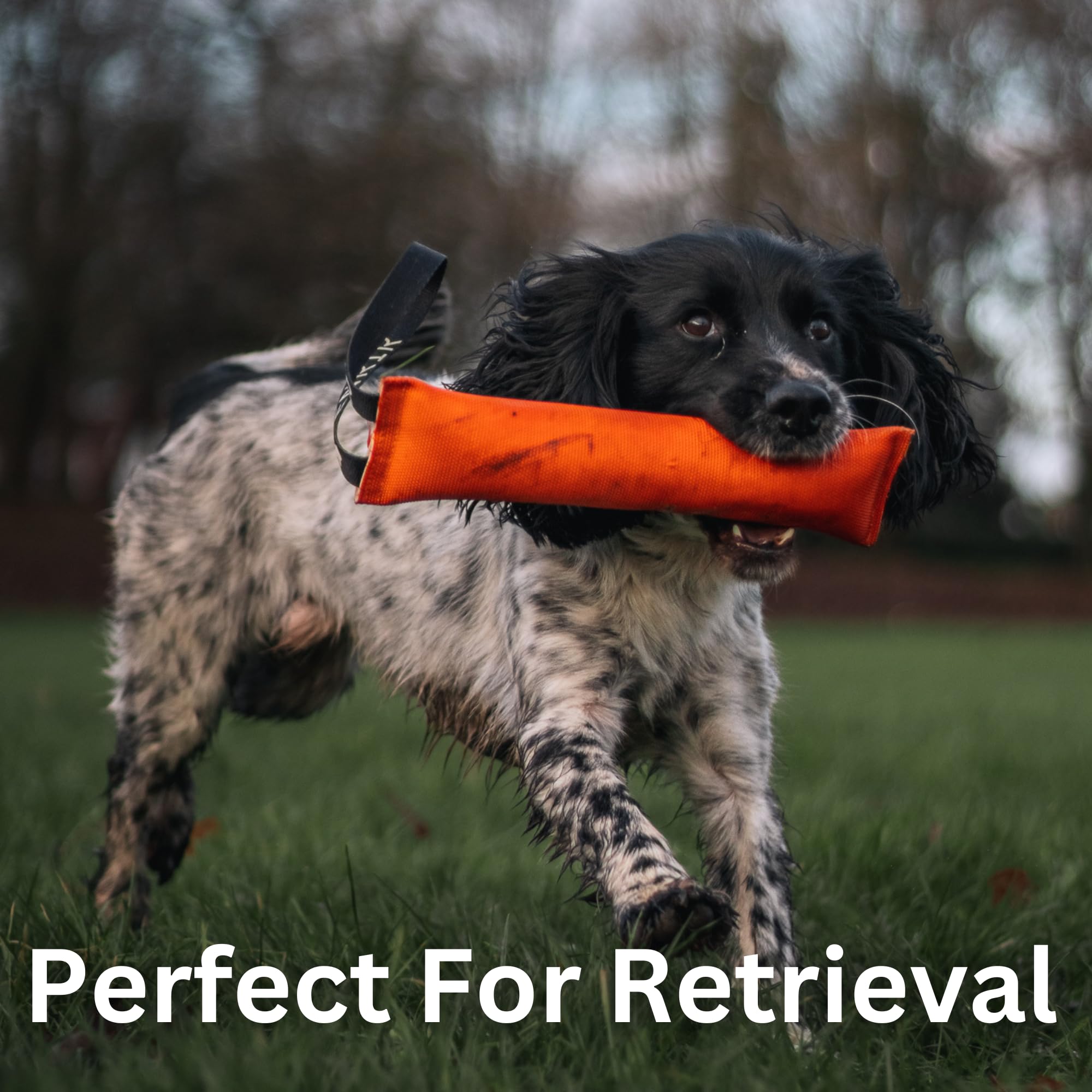 Fenrir 12 Inch Rugged Fire Hose Dog Tug Toy For Large Dogs No Squeaker, Firm Stuffing For Canines (Rope Handle)