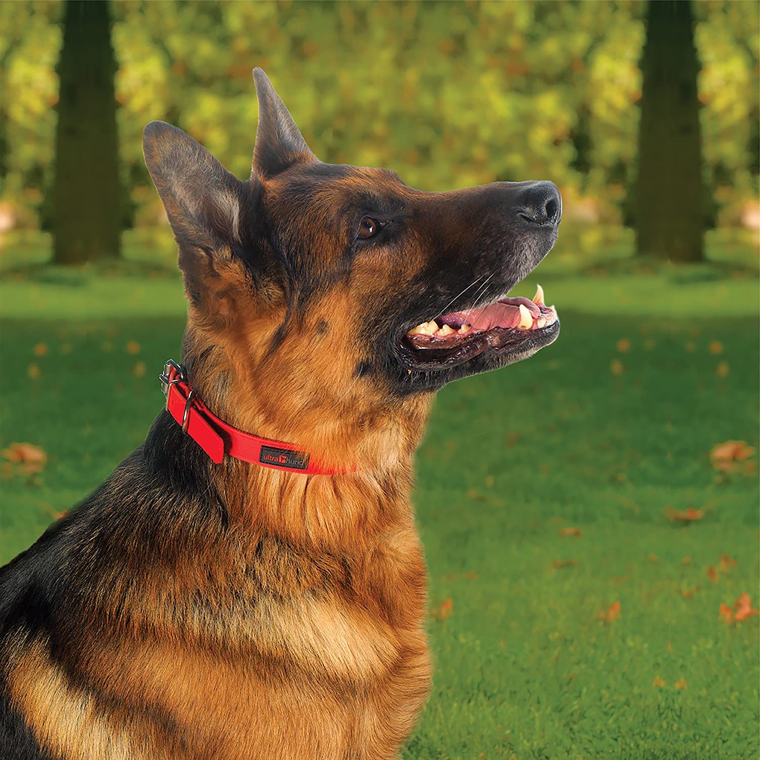 Ultrahund True Fit Collar, 3/4 X 12, Red