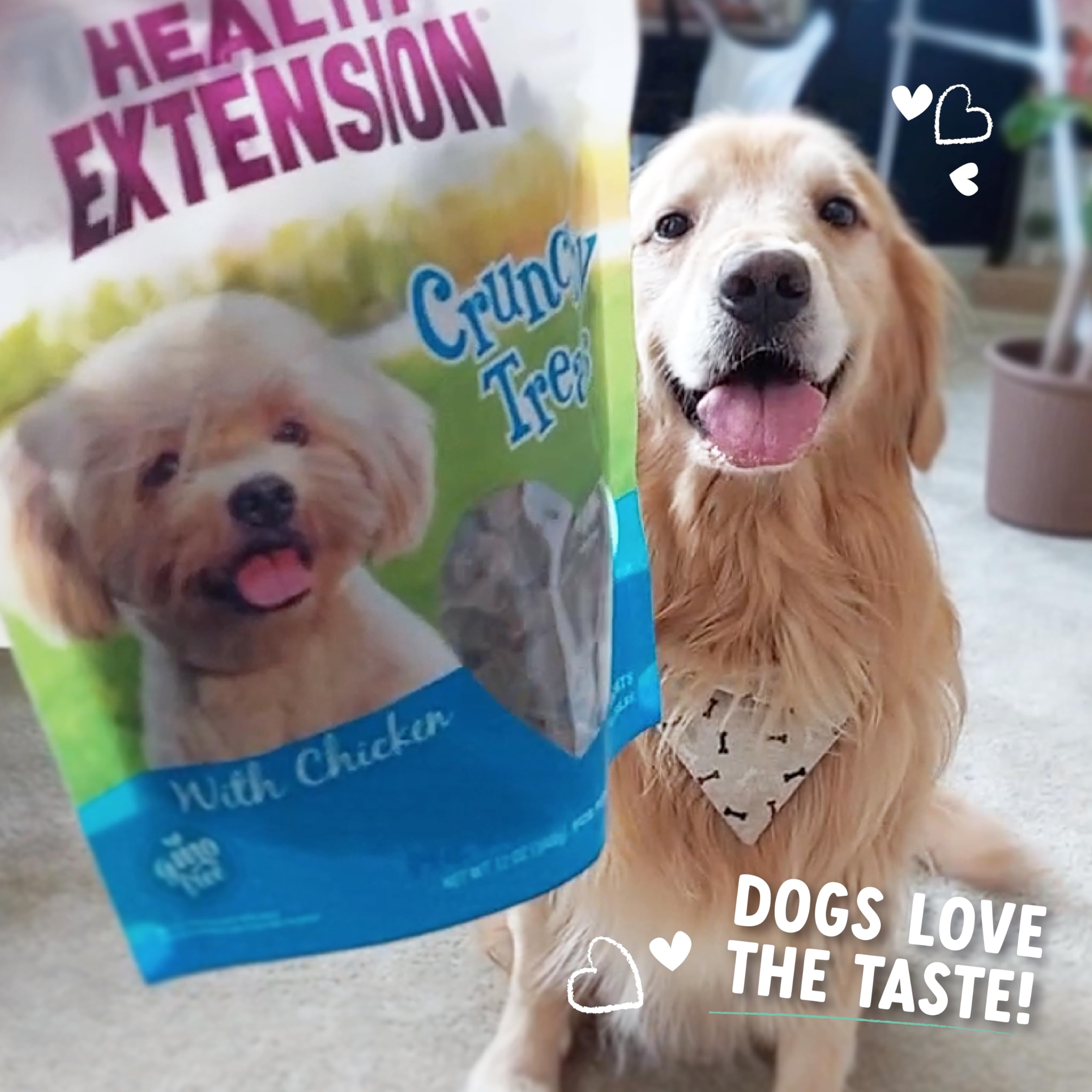 Health Extension Chicken Flavor Dog Training Treats, 12oz - GMO-Free Crunchy Biscuits for Small Breeds, Added Vitamins & Minerals