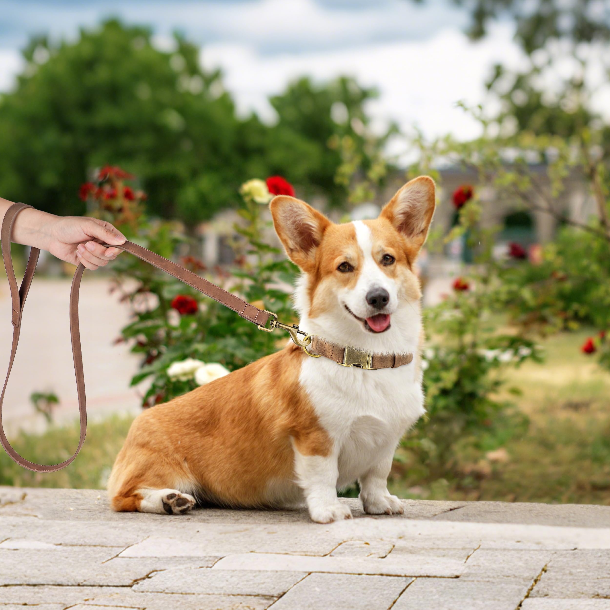 Didog Soft Leather Dog Collar, Durable Heavy Duty Dog Collars With Quick Release Metal Buckle, Adjustable Pet Collar Faux Leathe