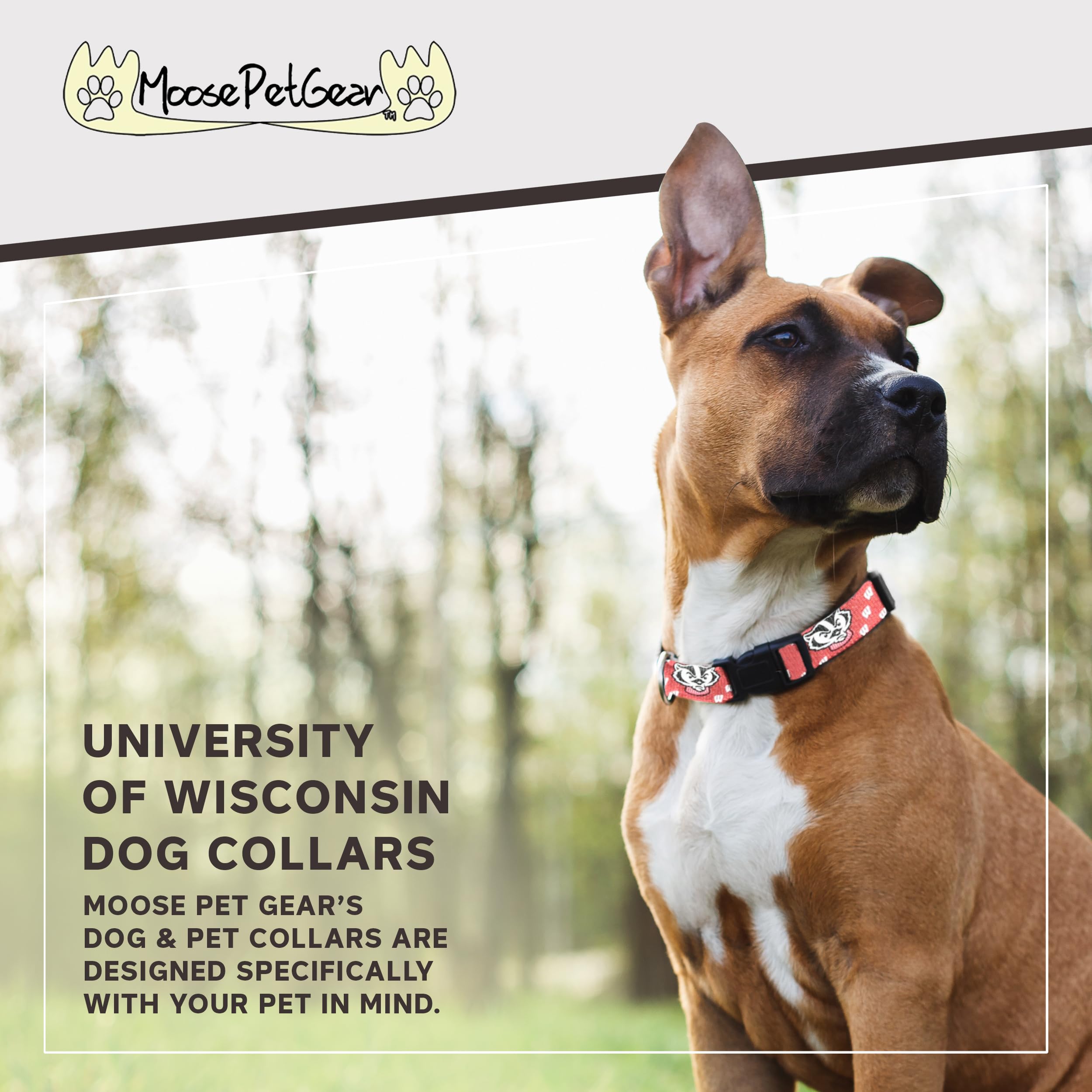 University Of Wisconsin Dog Collar - Deluxe Adjustable Dog Collars, 1' Wide Collar Adjusts 16-27', Extra Large, Red Badger