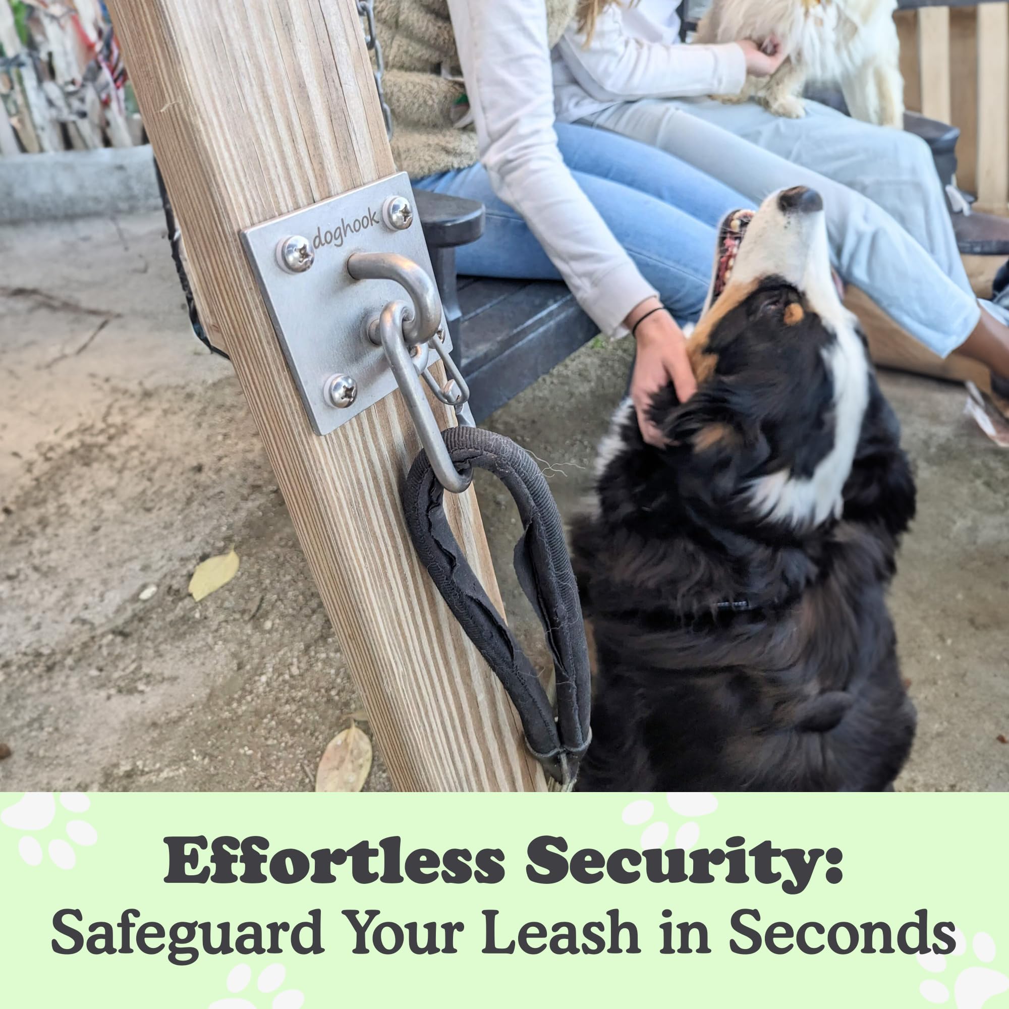 Canine Hitch- Secure Dog Leash Parking Indoor- Outdoor Wall Hook With Ez Clip - Tie Out Stainless Steel - Practical Lead Managem