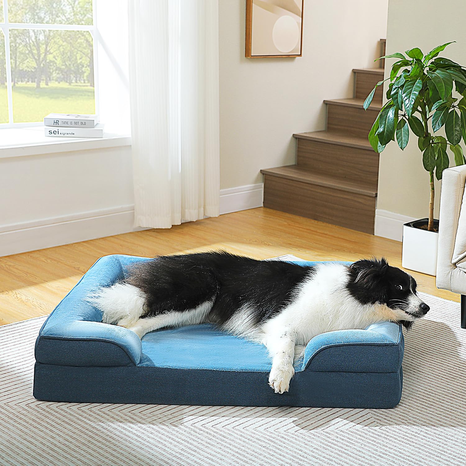 Pawz Road Orthopedic Dog Bed Medium Size Dog Bed Washable With Supportive Foam,2-Layer Waterproof Cover And Non-Slip Bottom For