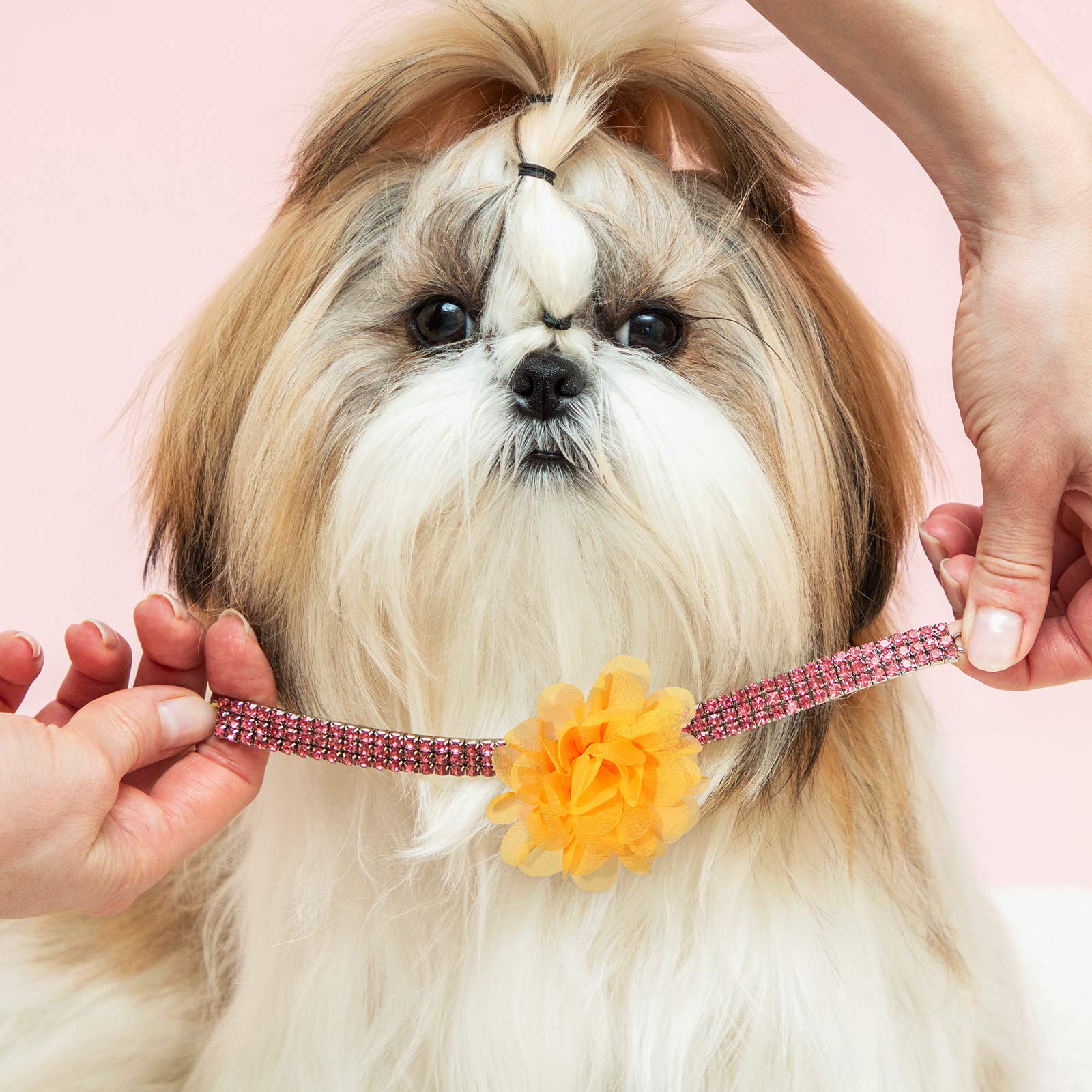 Willbond 30 Pieces Dog Collar Flowers Bulk Pet Flower Bow Ties Multi-Color Dog Charms Flower For Cat Puppy Dog Collar Grooming Accessories 30 Colors (7 Cm)