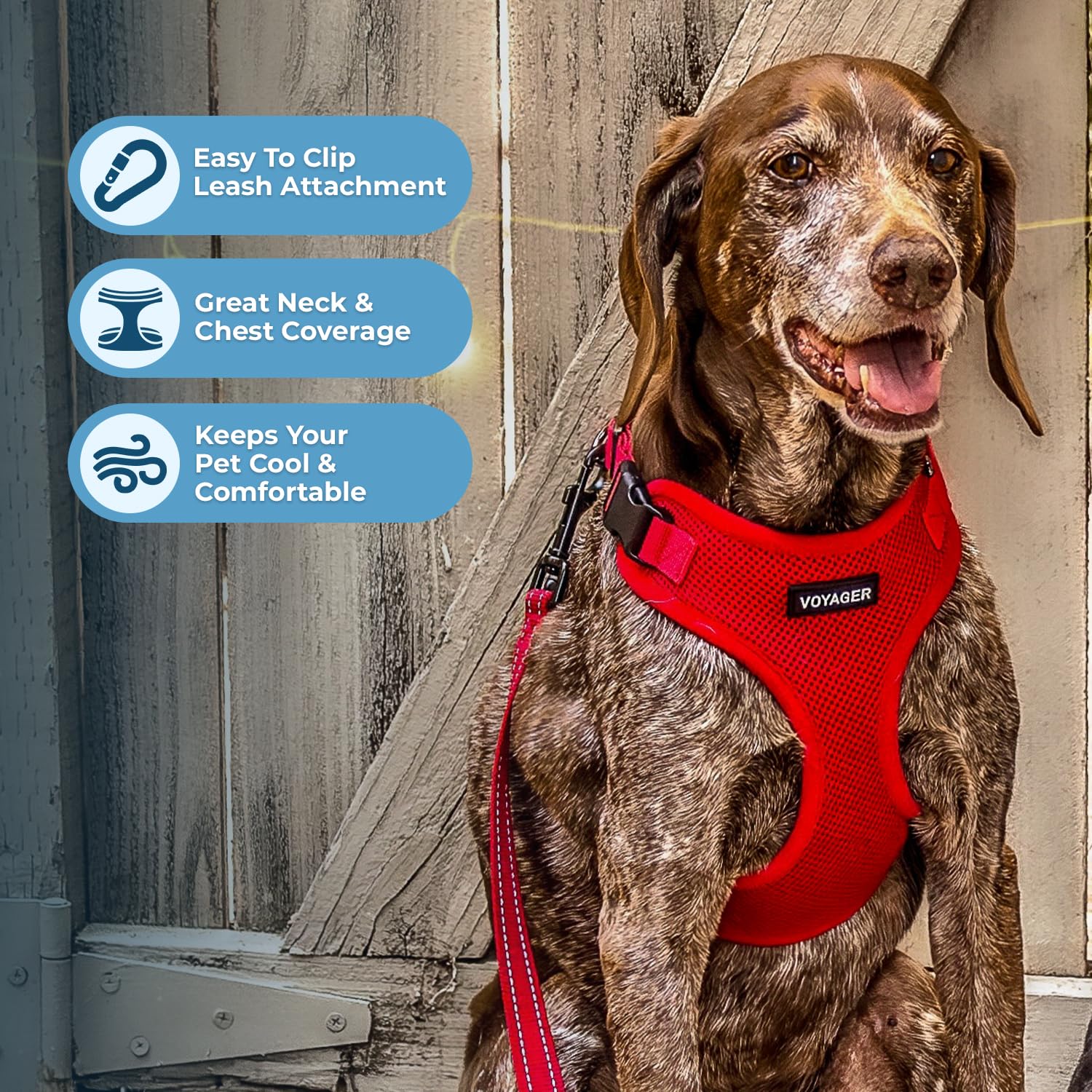 Voyager Step-In Lock Pet Harness - All Weather Mesh, Adjustable Step In Harness For Cats And Dogs By Best Pet Supplies - Red, L