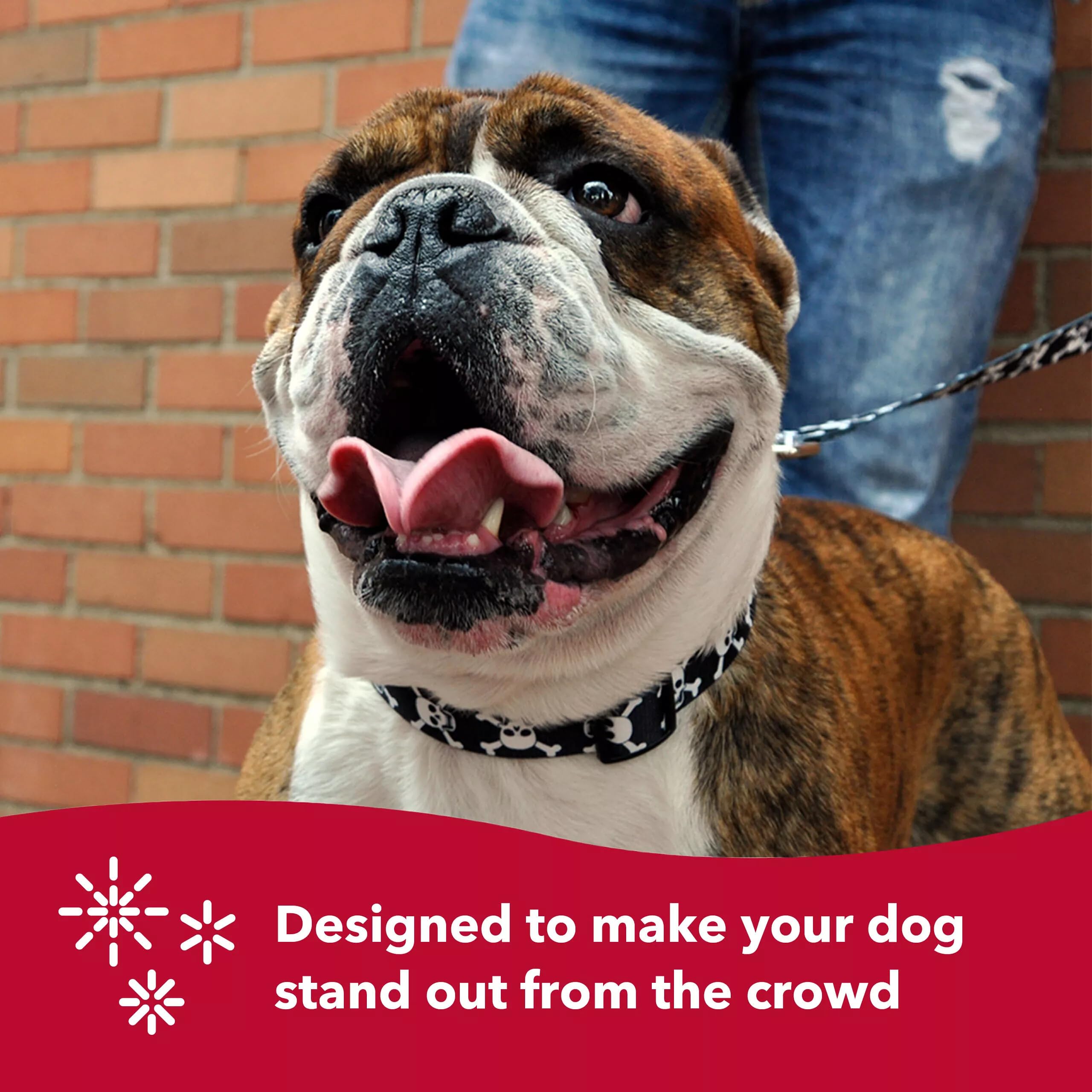 Coastal Pet Styles Adjustable Dog Collar - Stylish Patterned Fabrics - Snap-Lock Buckle - Adjustable Dog Collar - For Small, Medium Or Large Dogs - Black Skulls - 3/4' X 14-20'