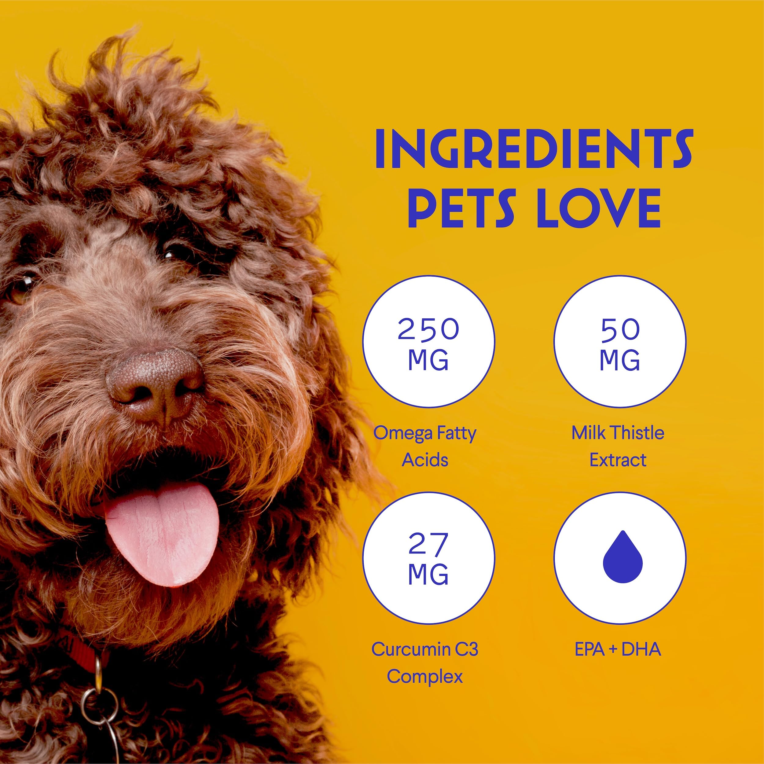 Wonder Paws Milk Thistle, Liver Support for Dogs, Supports Kidney Function for Pets, Detox, Hepatic Support, with Wild Alaskan S