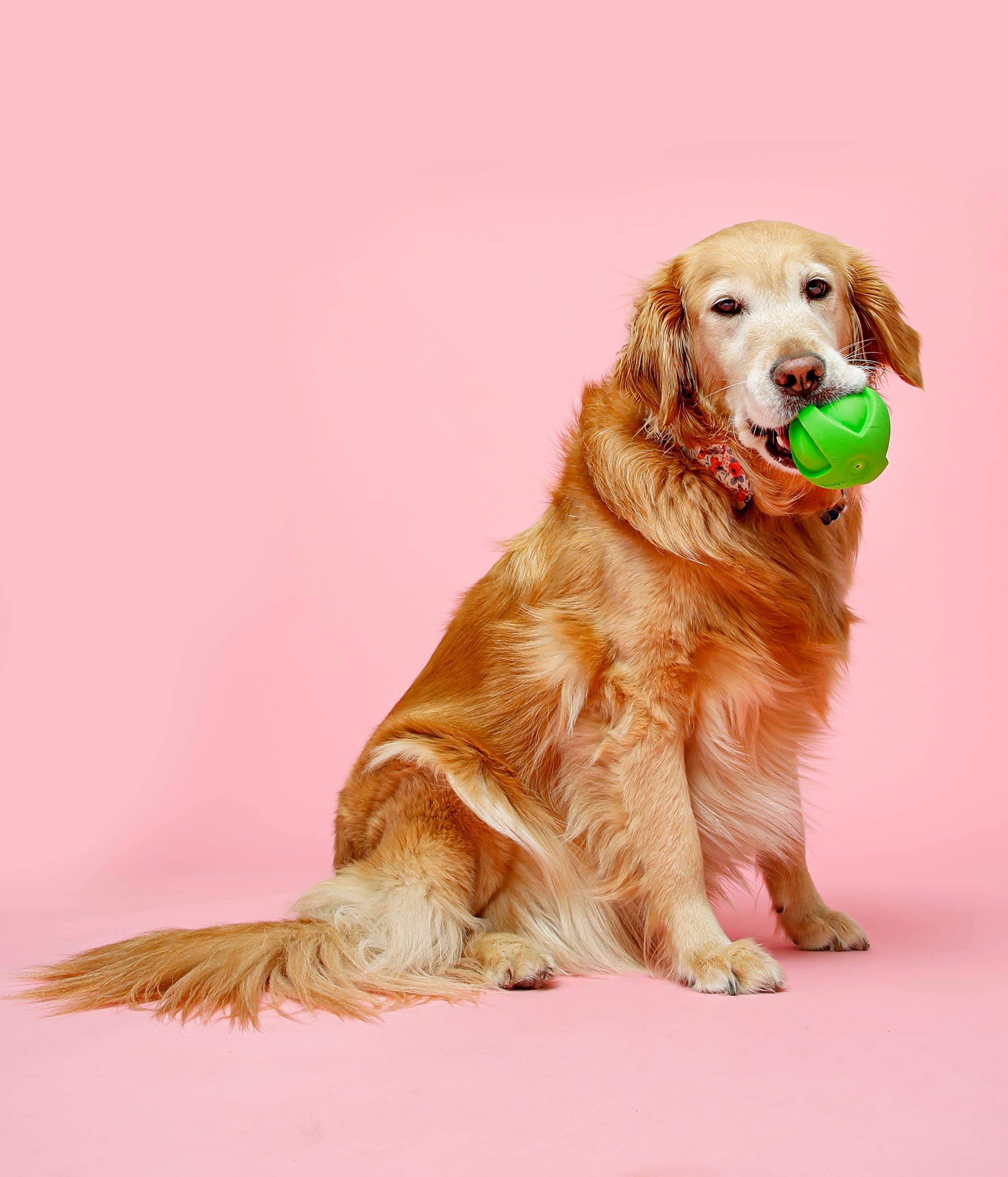 Hartz Duraplay Bacon Scented Dog Toys, Large 1 Count