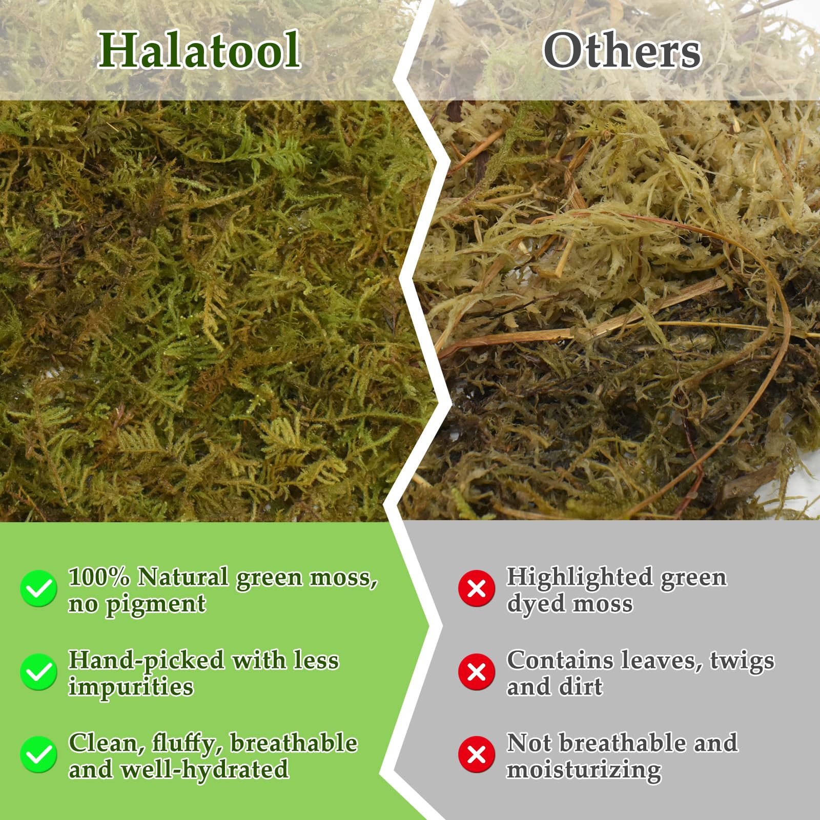 Halatool 1.5Lb Natural Sphagnum Moss For Reptiles- 80Qt Green Live Moss For Terrarium Plants Long Fiber Reptile Moss For Leopard