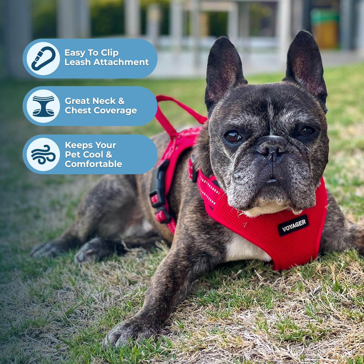 Best Pet Supplies Voyager Adjustable Dog Vest Harness Breathable No Pull Harness For Small, Medium, Large Dogs, Heavy Duty Harness For Walking, Jogging, Easy Step-In, Reflective Stripes - (Red), S