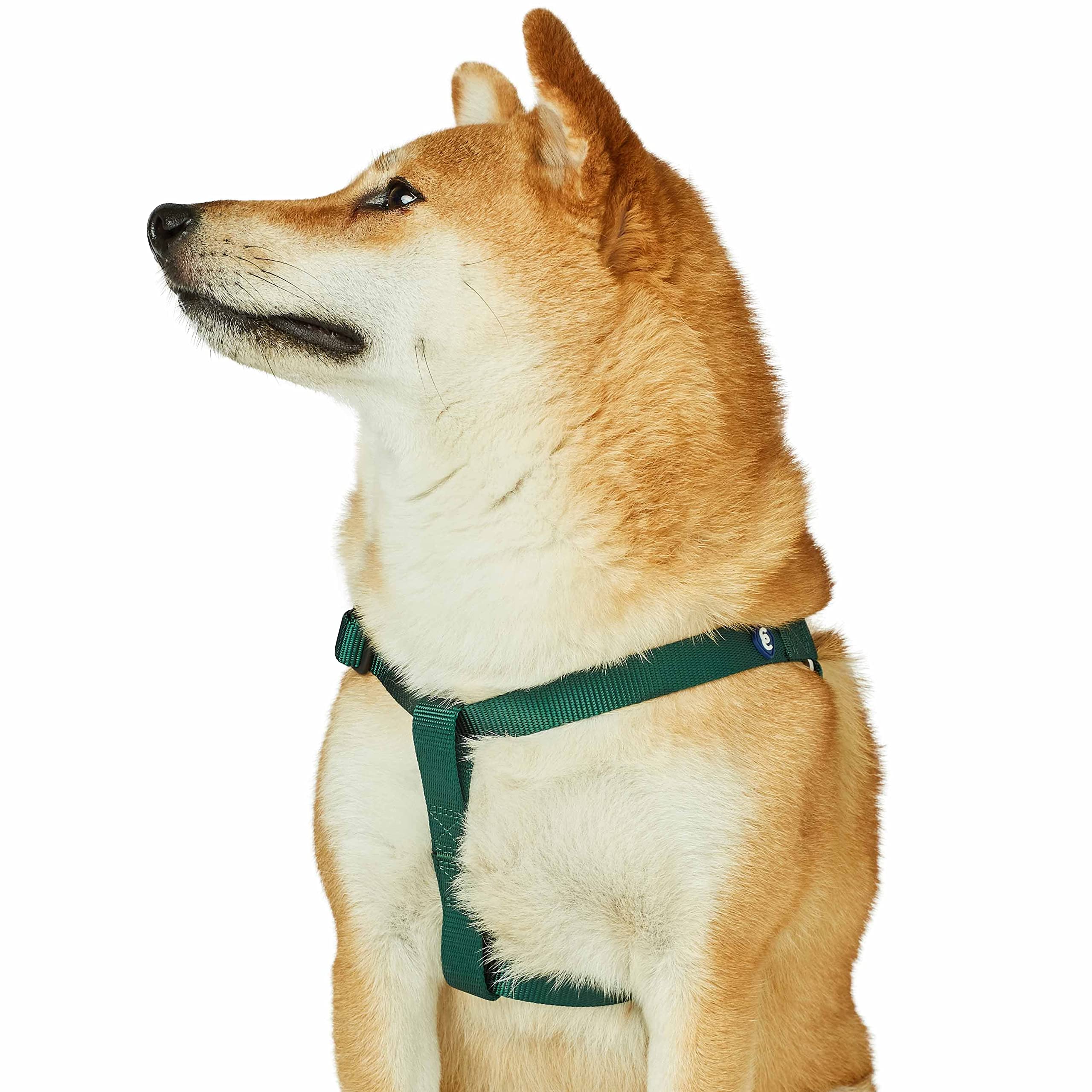 Blueberry Pet Essentials 2022 New Classic Durable Solid Nylon Step-In Dog Harness, Chest Girth 20'' - 26'', Verdant Green, Mediu