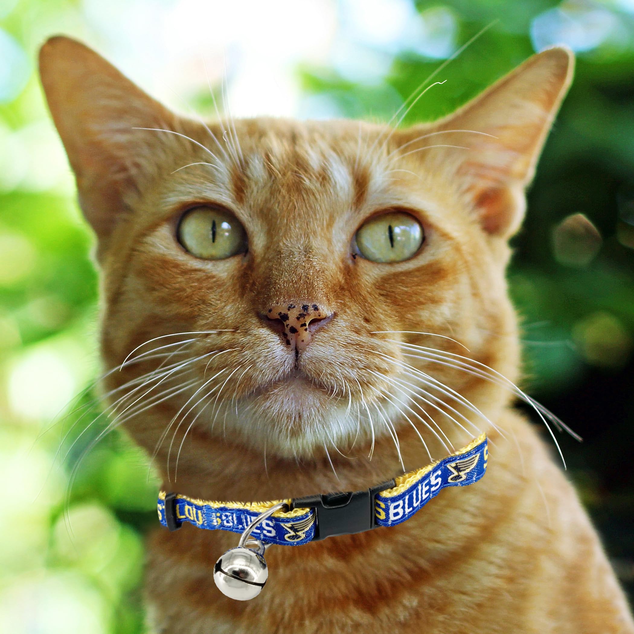 Nhl Cat Collar St. Louis Blues Satin Cat Collar Hockey Team Collar For Dogs & Cats. A Shiny & Colorful Cat Collar With Ringing B
