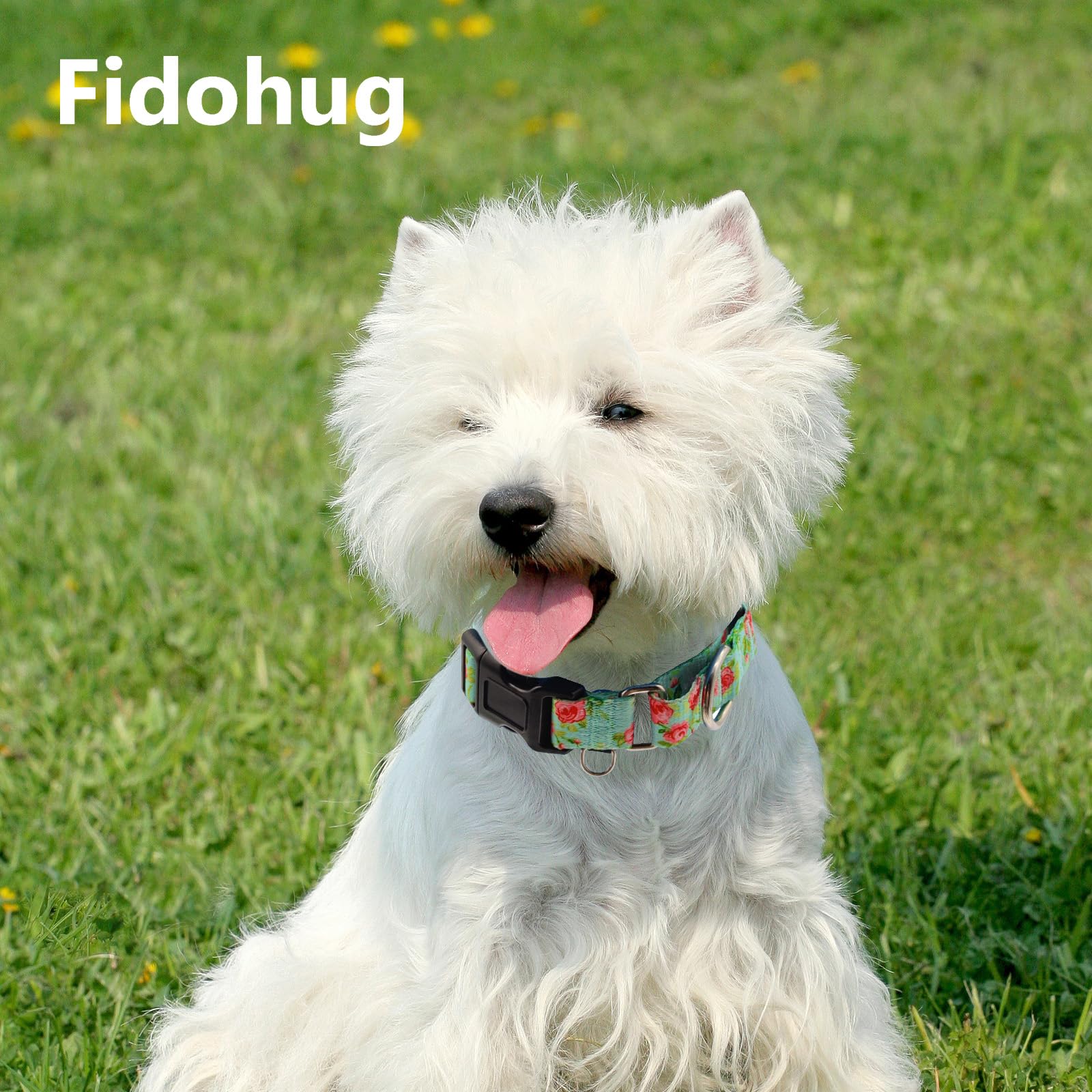 Fidohug Martingale Collar For Dogs With Buckle Pink Floral Dog Collar No Pull Cute Girl Female Dog Collars For Small Dogs, Green