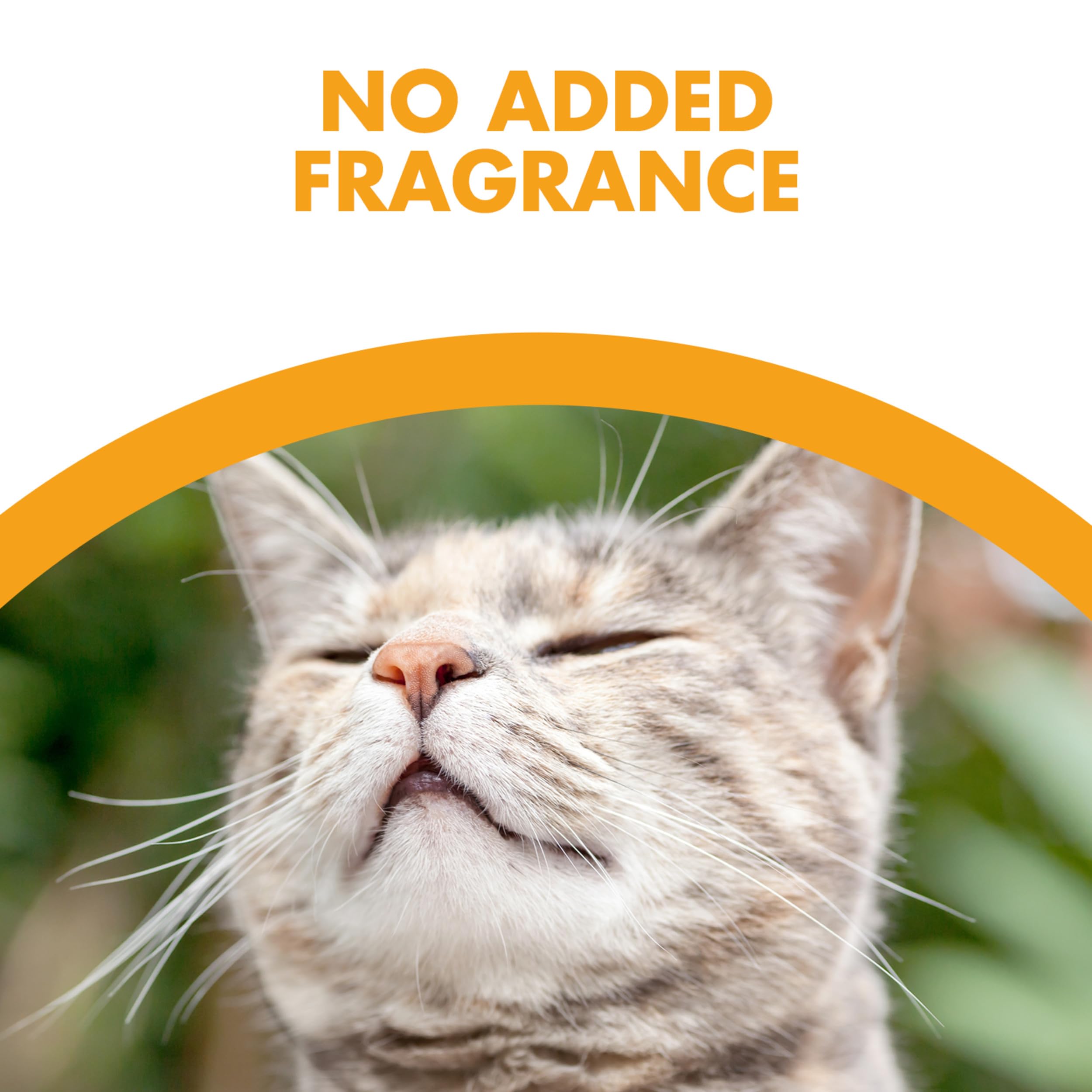 Feline Pine Platinum Non-Clumping Cat Litter 18Lb.