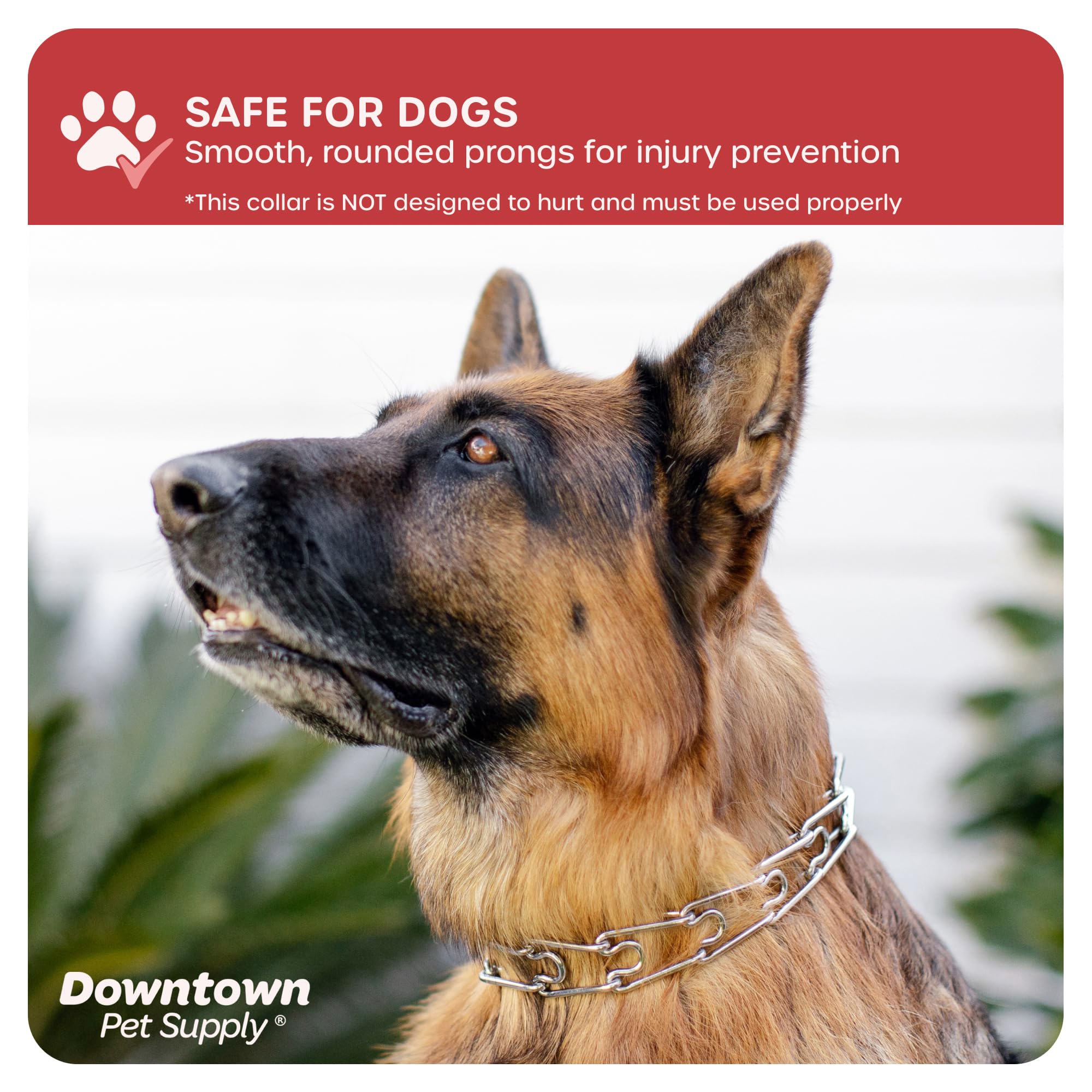 Downtown Pet Supply Chrome Plated Prong Collar For Dogs, Medium - Adjustable, No-Choke And No Pull Dog Collar With Removable Links - Pinch Collar For Dogs 20-40 Lbs And 20' Neck Width