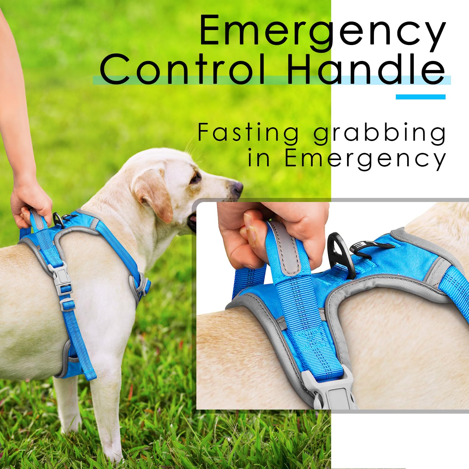 Thinkpet No Pull Harness Breathable Sport Harness With Handle-Dog Harnesses Reflective Adjustable For Medium Large Dogs,Back/Front Clip For Easy Control S Sky Blue