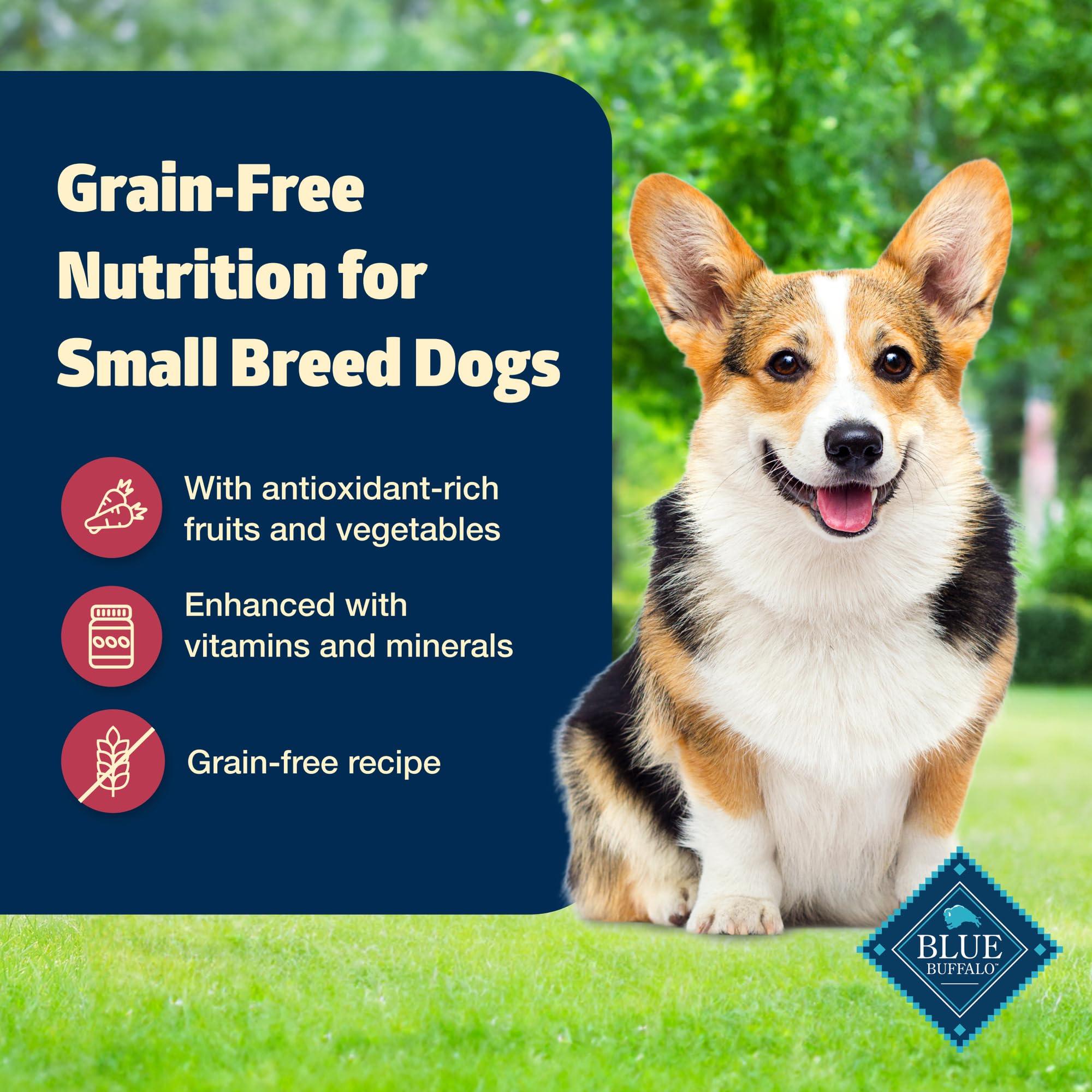Blue Buffalo Freedom Grain-Free Small Breed Wet Dog Food, Supports High Energy Needs, Made in the USA With Natural Ingredients,