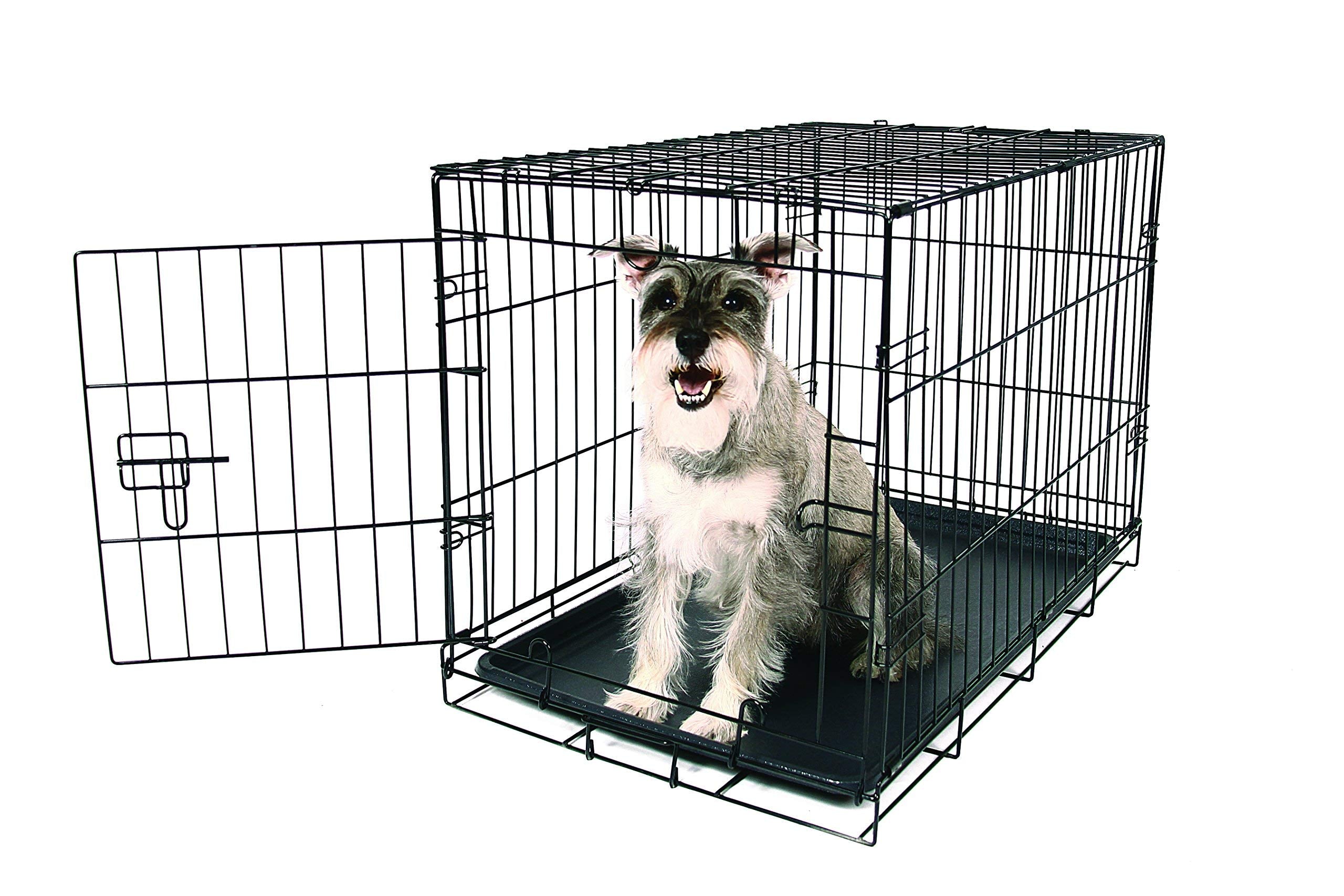 Carlson Pet Products Secure And Foldable Single Door Metal Dog Crate, Medium,Black
