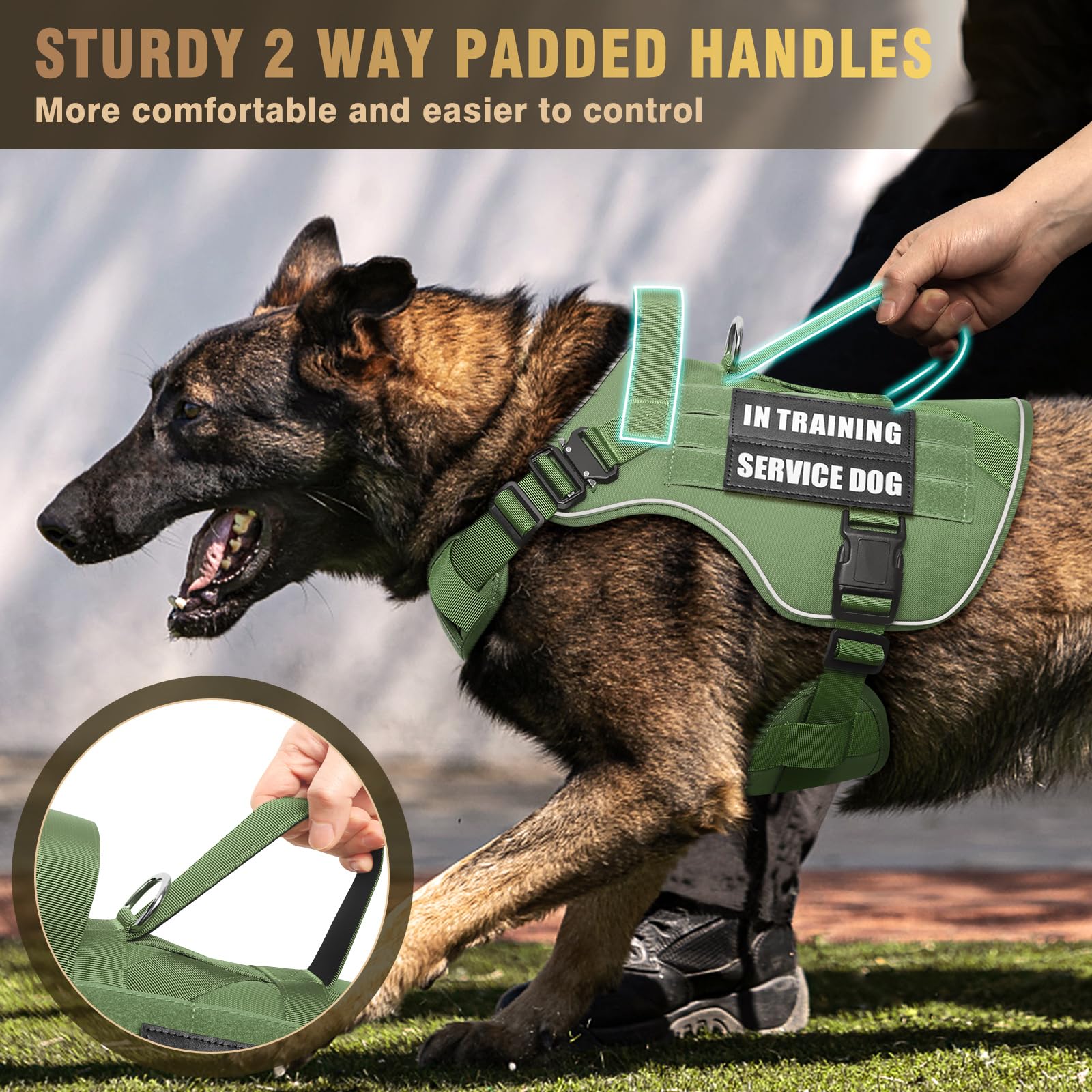 Winsee Tactical Dog Harness For Medium Dog, Heavy Duty Service Working Molle Vest With 10 Pet Patches, 2X Metal Buckle Vest For