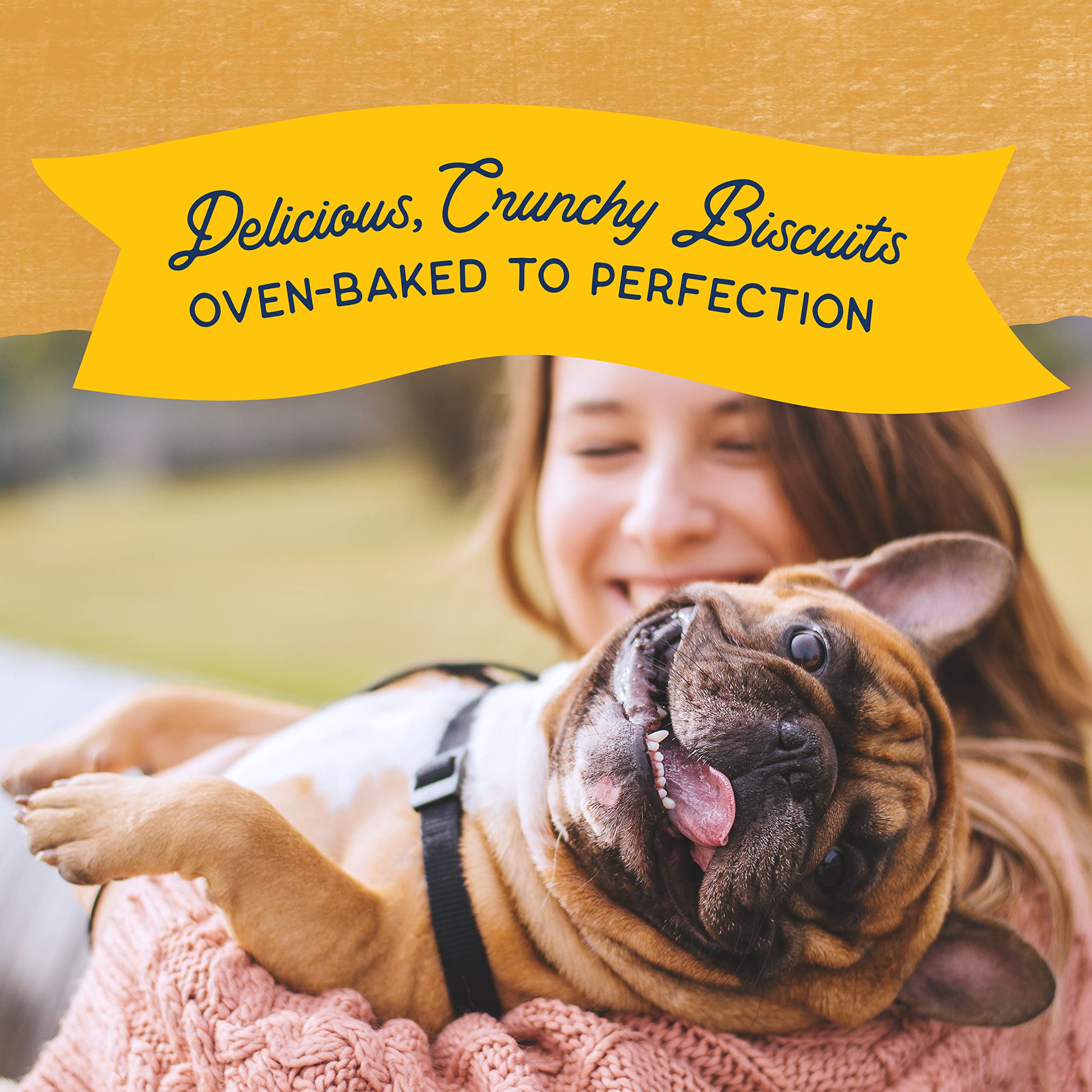 Natural Balance Limited Ingredient Rewards Crunchy Biscuits, Grain-Free Dog Treats for Adult Dogs of All Breeds, Duck Recipe, 14