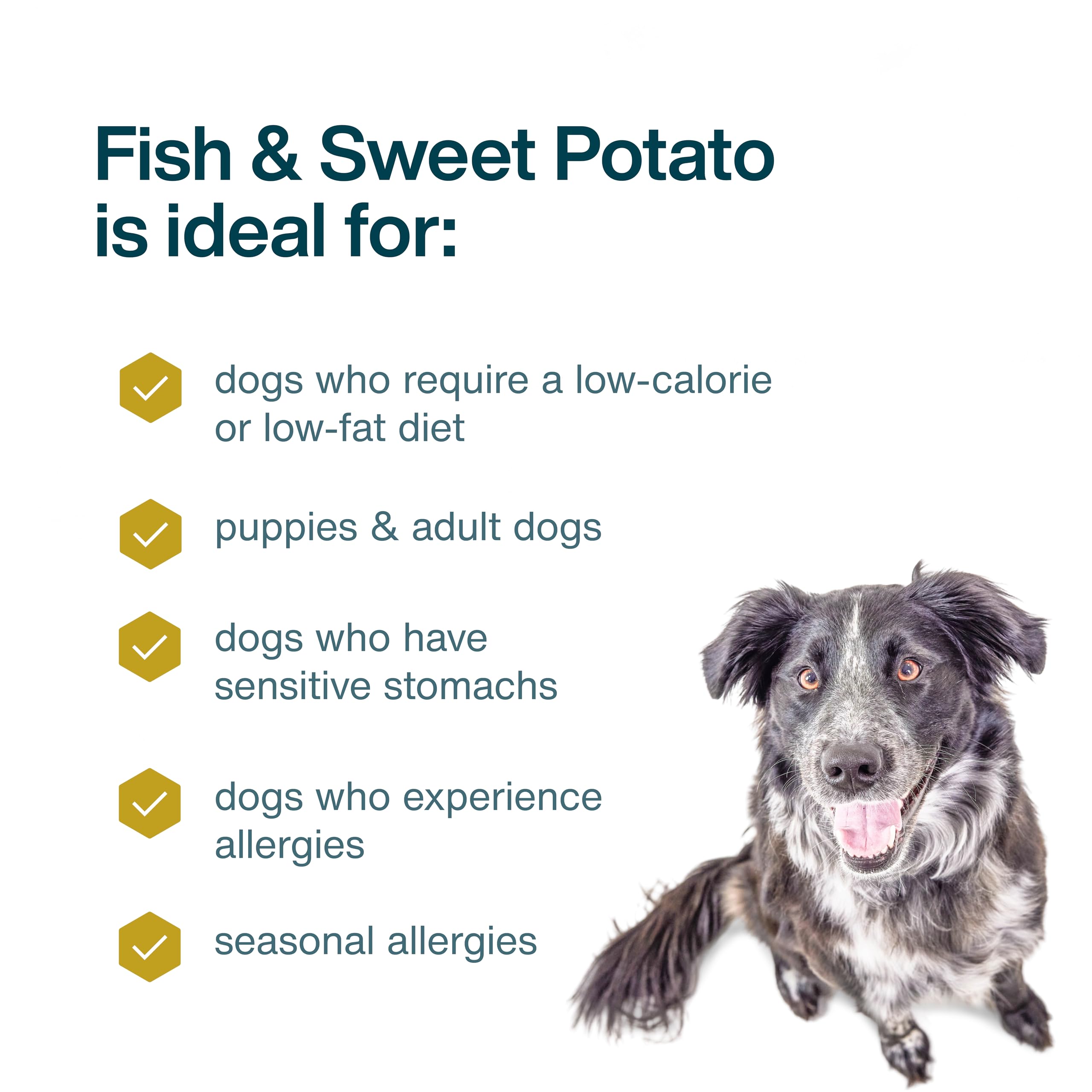 JustFoodForDogs Frozen Fresh Dog Food, Complete Meal or Dog Food Topper, Fish & Sweet Potato Human Grade Dog Food Recipe, 72 oz