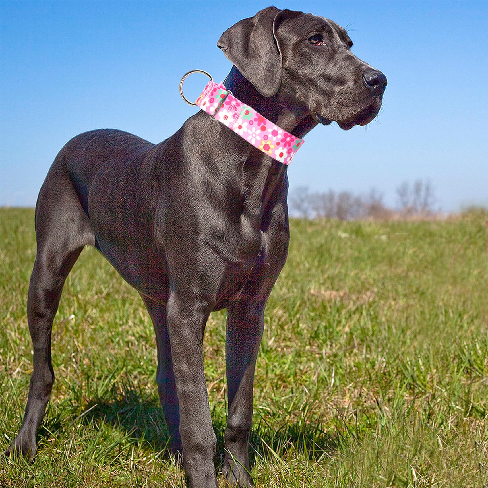 Wide Pink Martingale Collar For Dogs,1.5 Inches Martingale Collar With Flowers Pattern,No Slip Dog Collar Perfect For Training,W