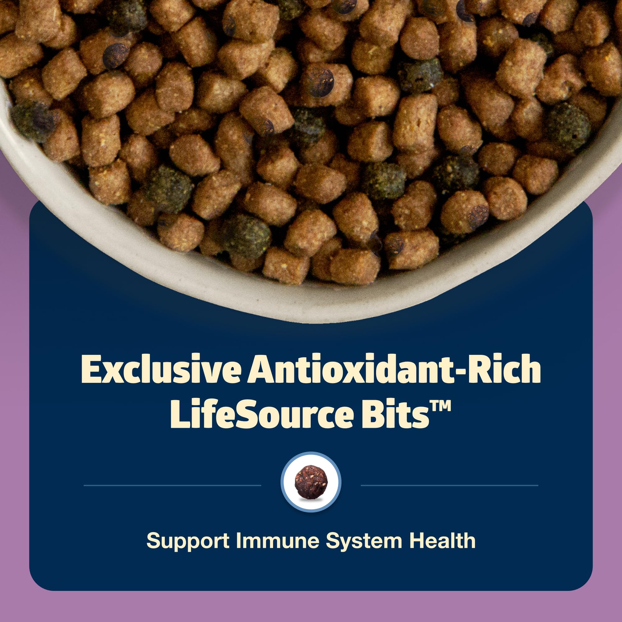 Blue Buffalo Freedom Grain-Free Adult Dry Cat Food, Complete & Balanced Nutrition for Indoor Cats, Made with Natural Ingredients