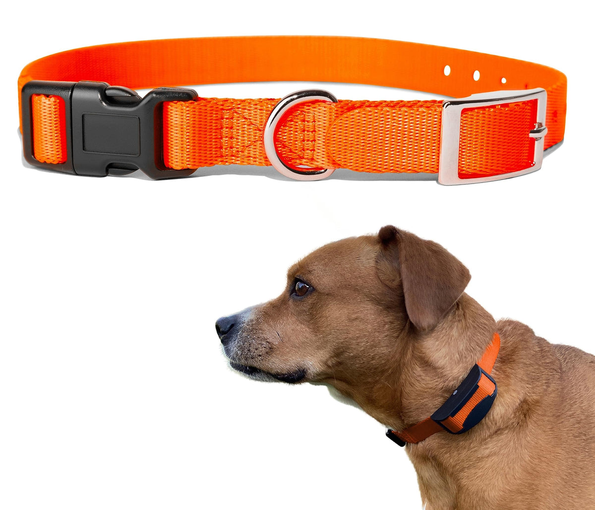 E-Collar Replacement Strap - Shock Collar, Fence Collar, Compatible With Most Brands (3/4'', Orange)