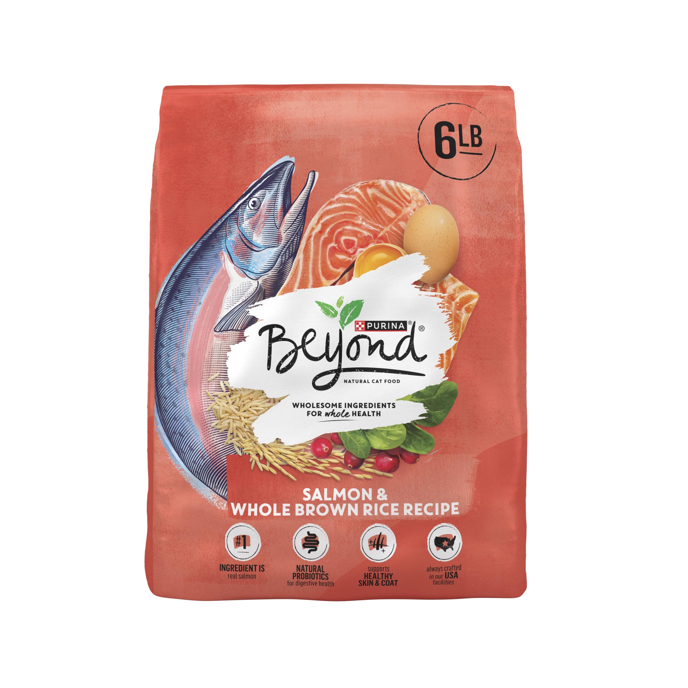 Purina Beyond Natural Wholesome Ingredients for Whole Health Dry Cat Food Salmon and Whole Brown Rice Recipe - 6 lb. Bag