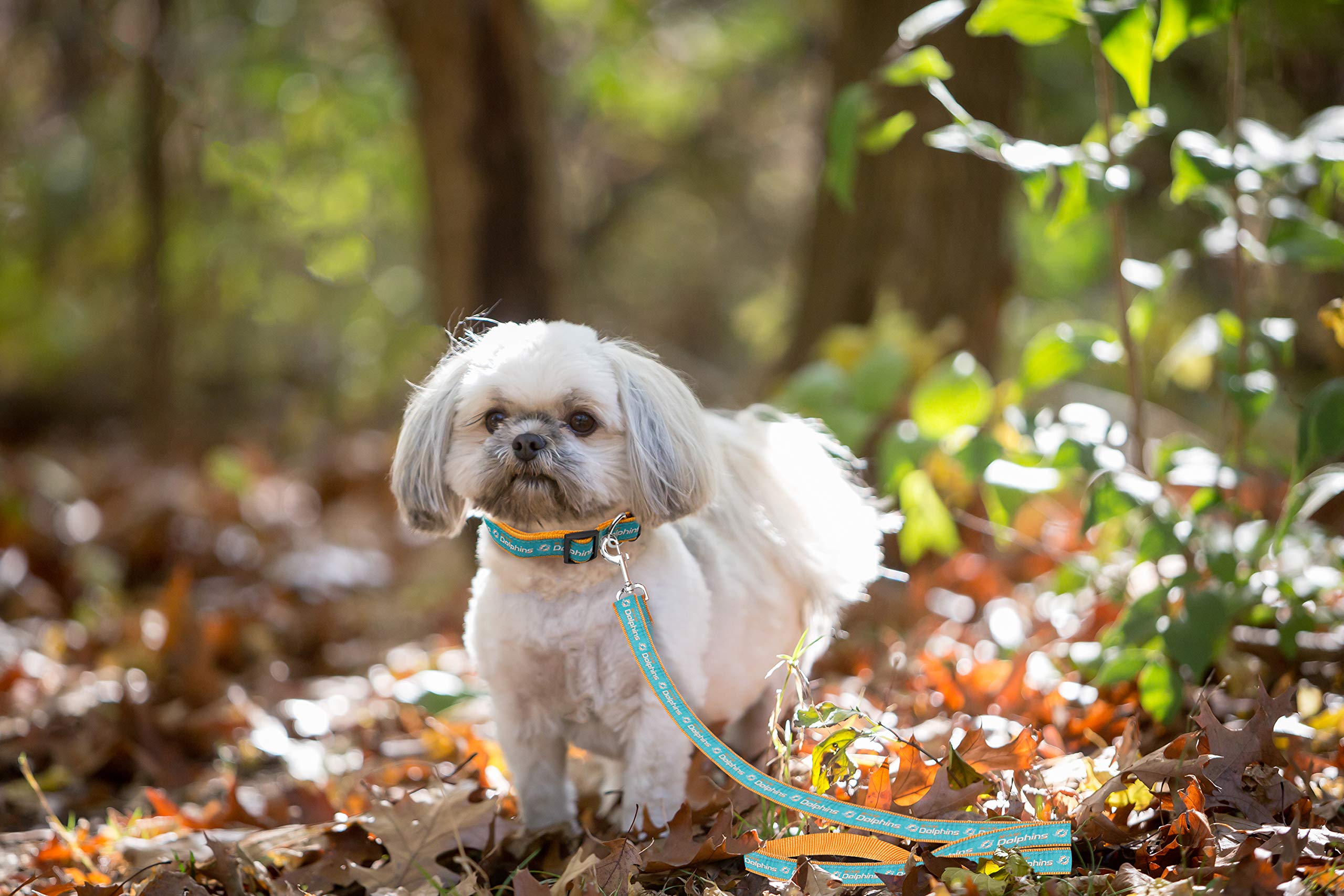 Nfl Miami Dolphins Dog & Cat Leash - Medium, Shiny & Colorful With Embroidered Team Name/Logo Licensed By The Nfl