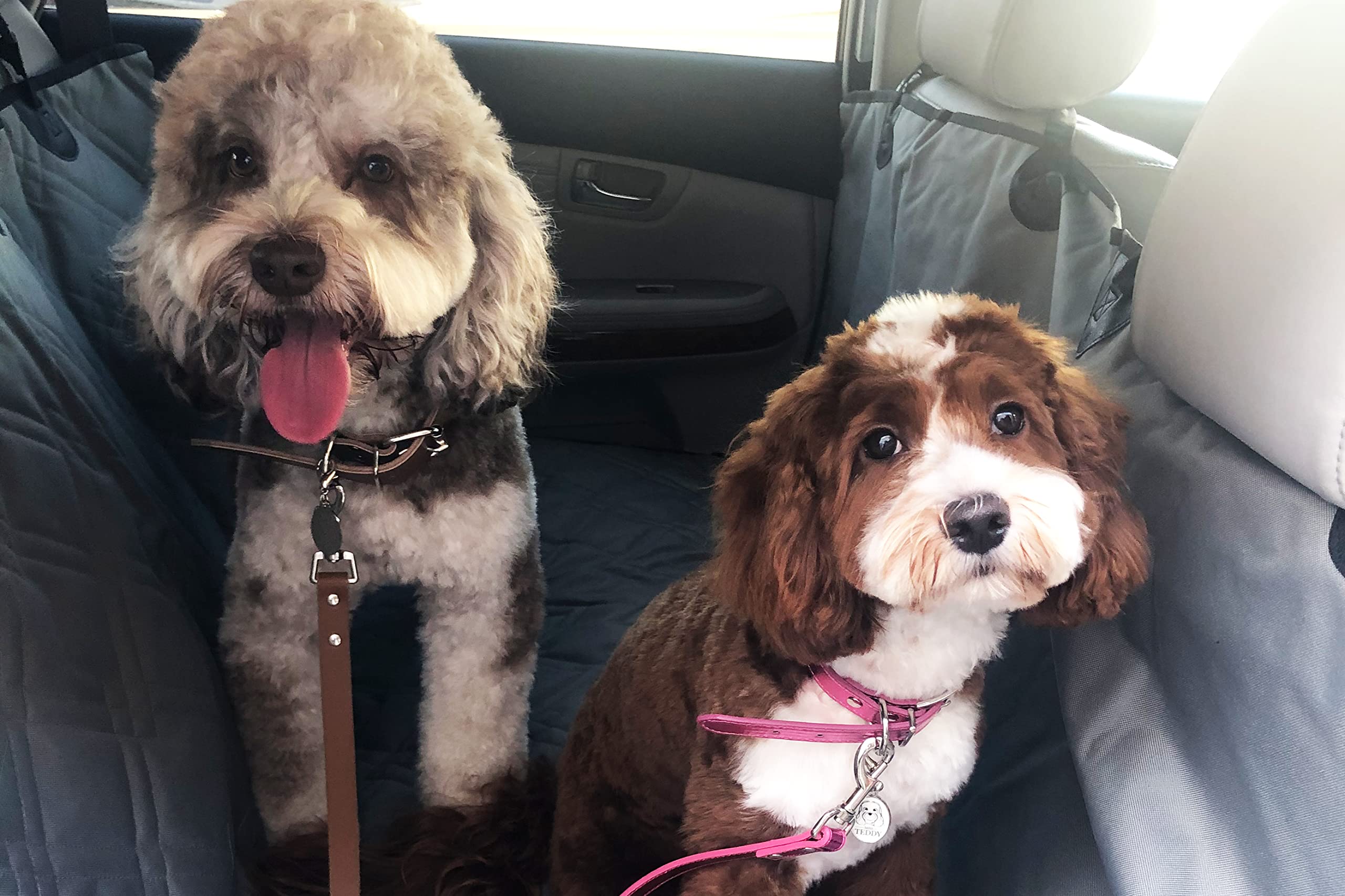 Bulldogology Dog Car Seat Cover Waterproof Heavy Duty Bench Dog Hammock Backseat Protector From Hair, Muddy Paws, Scratches - Pe