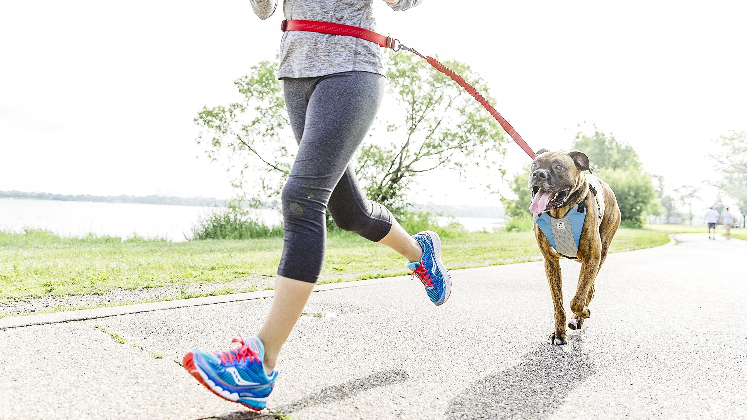 Stunt Puppy Go Dog Glo Harness, Large, Teal