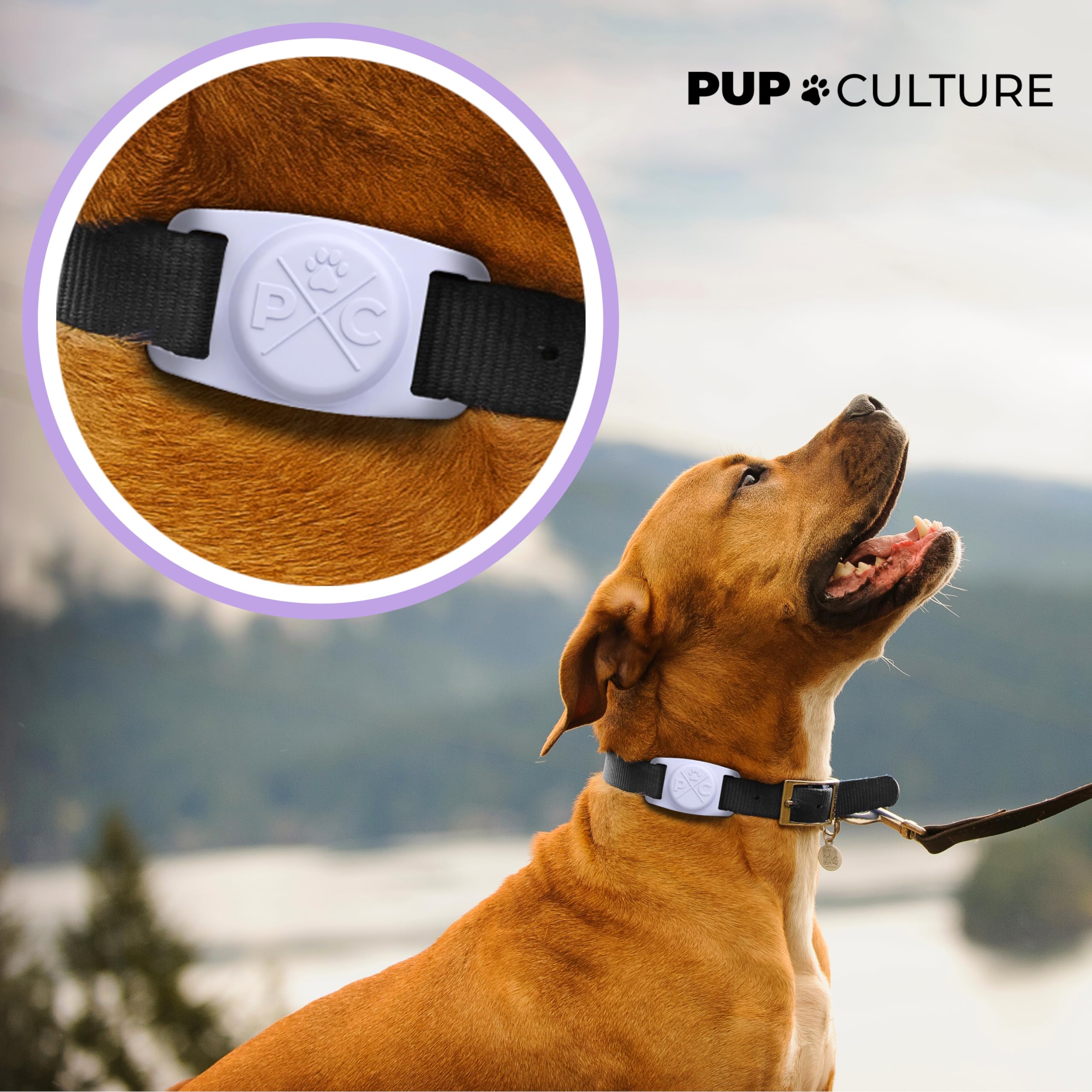 Pup Culture Cat Collar Airtag Holder - Extra-Durable, Lightweight, Protective - Track Your Cat With Apple Airtag
