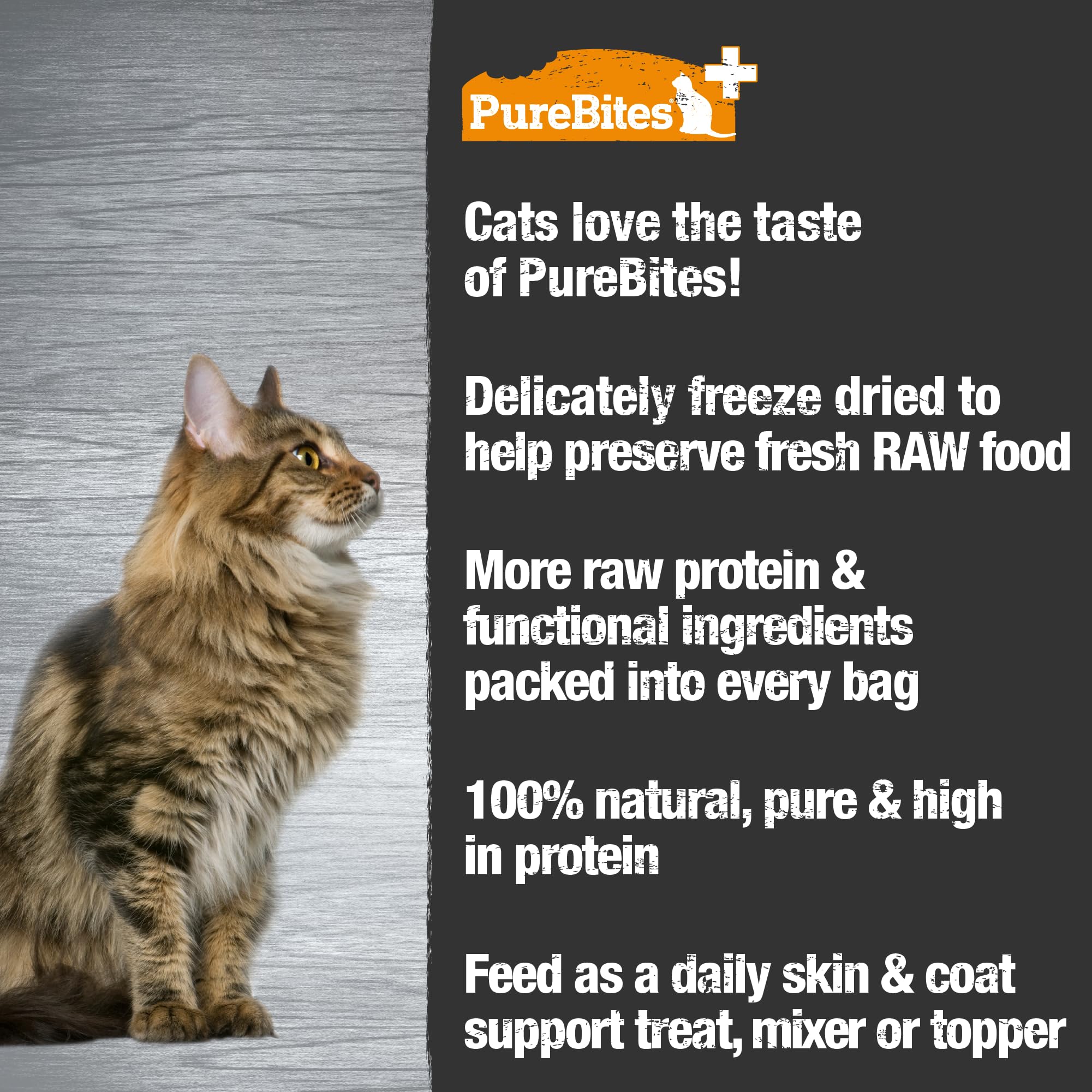 PureBites+ Freeze Dried Cat Treat 31g | Skin & Coat | 5 Ingredients | Made in USA
