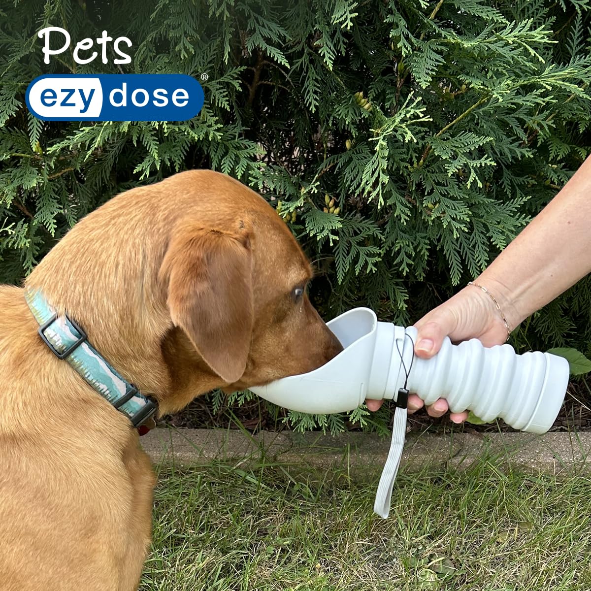 Ezy Dose Collapsible Pet Water Bottle, Portable Dog Water Dispenser For Travel, Leak-Proof, Bpa-Free, Foldable Dog Water Bottle