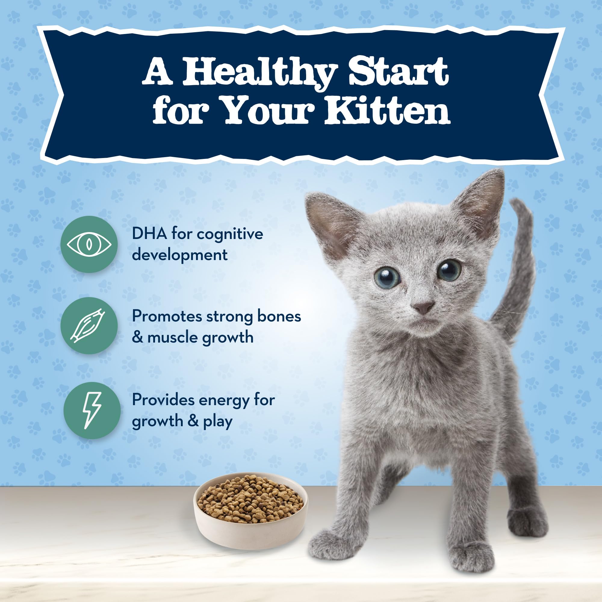 Blue Buffalo Baby BLUE Natural Kitten Grain-Free Dry Cat Food, High-Protein Healthy Growth Formula with DHA, Savory Chicken, 2-l