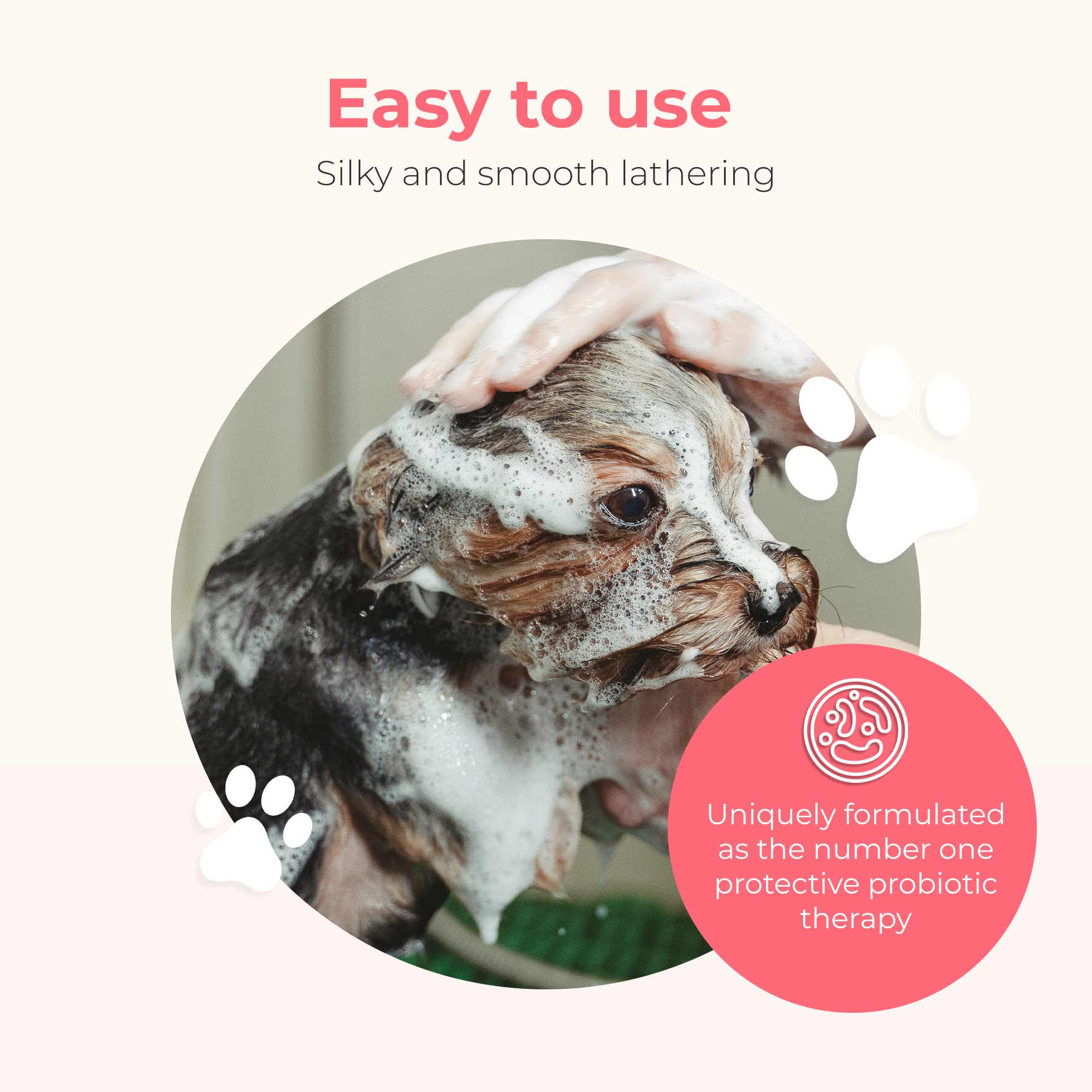 Pawfume Dog Shampoo And Conditioner - Hypoallergenic Dog Shampoo For Smelly Dogs - Best Dog Shampoos & Conditioners - Probiotic Pet Shampoo For Dogs - Best Dog Shampoo For Puppies (Show Dog)