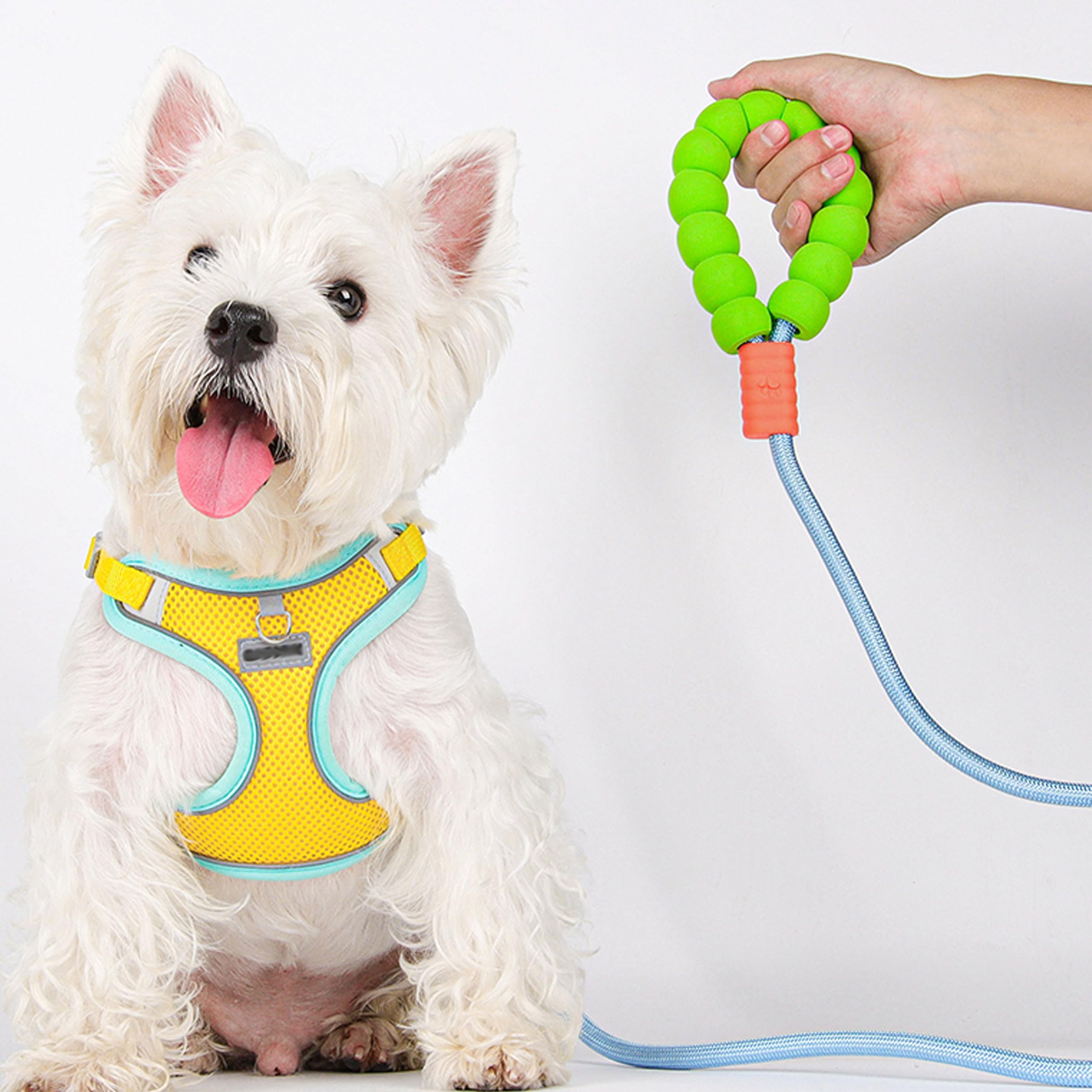 Teumessian 5/7/10 Ft Dog Leash With Padded Handle For Small Medium And Large Dogs, Bl, 7Ft