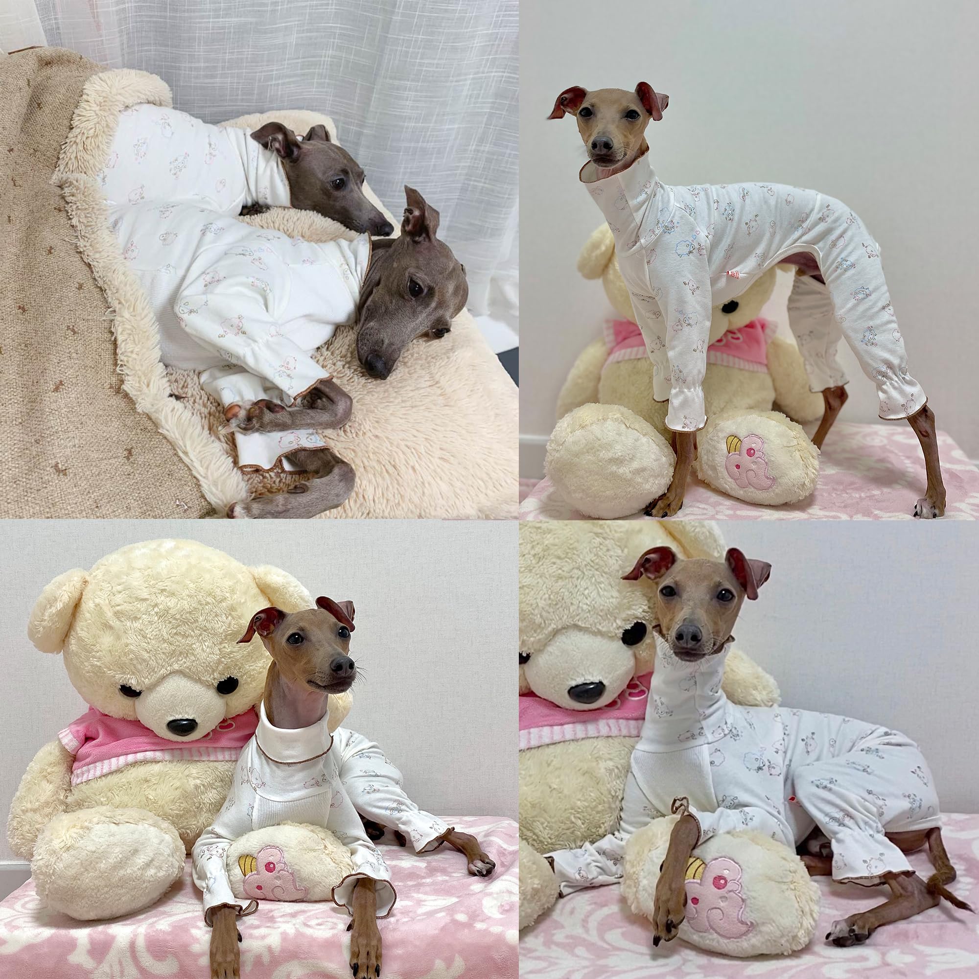 D Doggy Star Italian Greyhound Pajama Onesie Indoor Clothes Whippet For Dog Coat (2Xl,Pajama Onesie)
