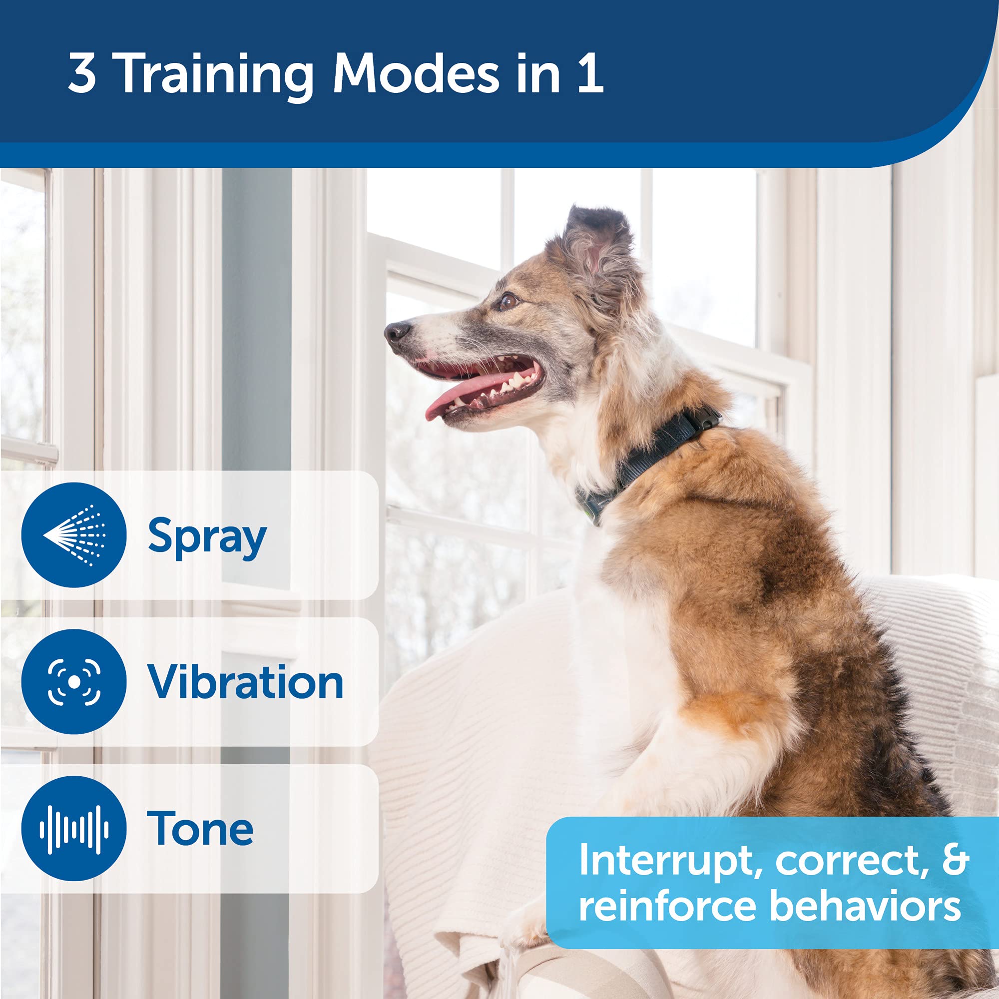 Petsafe Remote Spray Trainer, Add-A-Dog Training Collar - 3 Modes: Tone, Vibration Or Spray -Rechargeable And Water-Resistant -